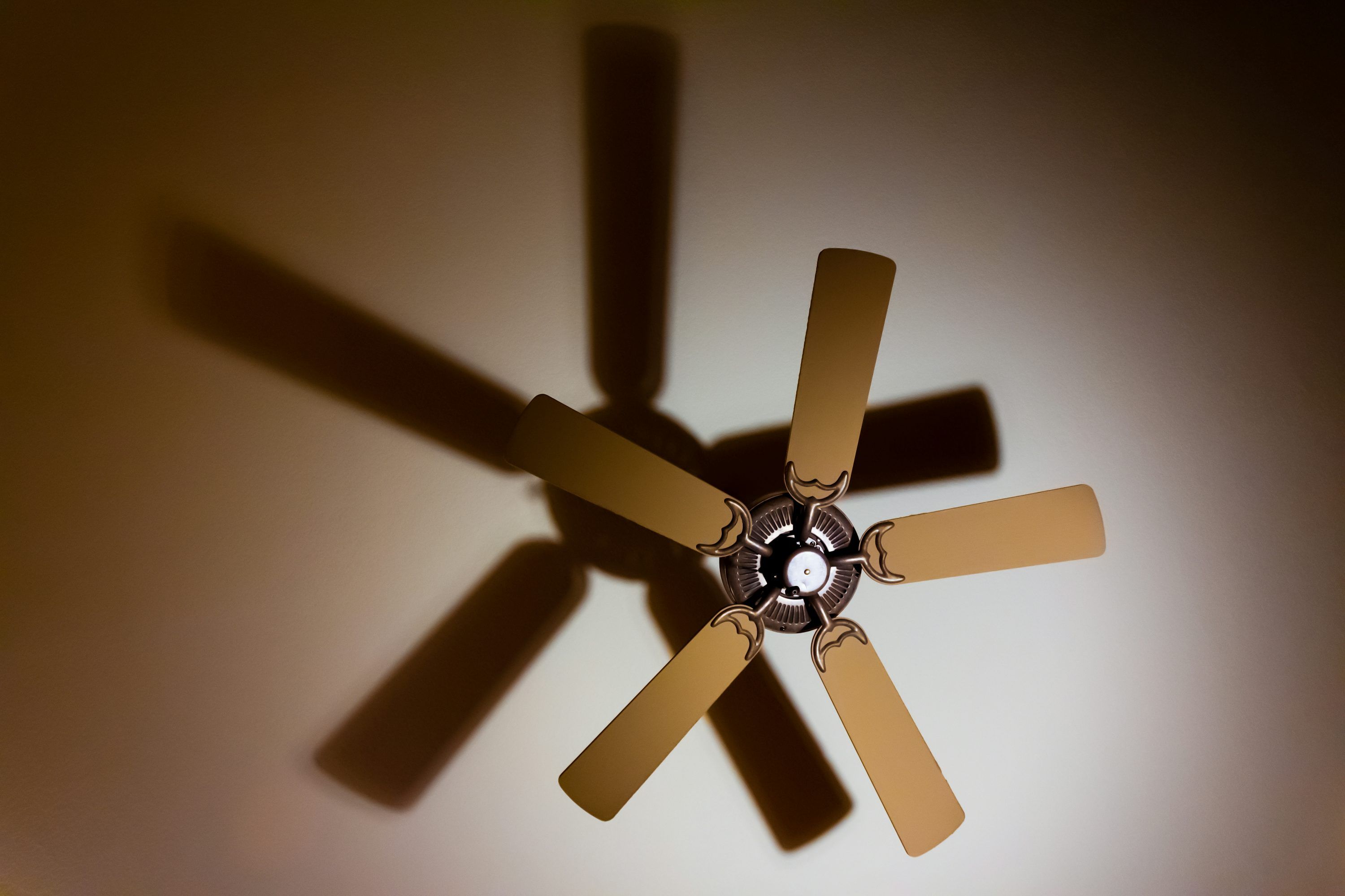 3000x2000 Ceiling Fans Picture. Download Free Image