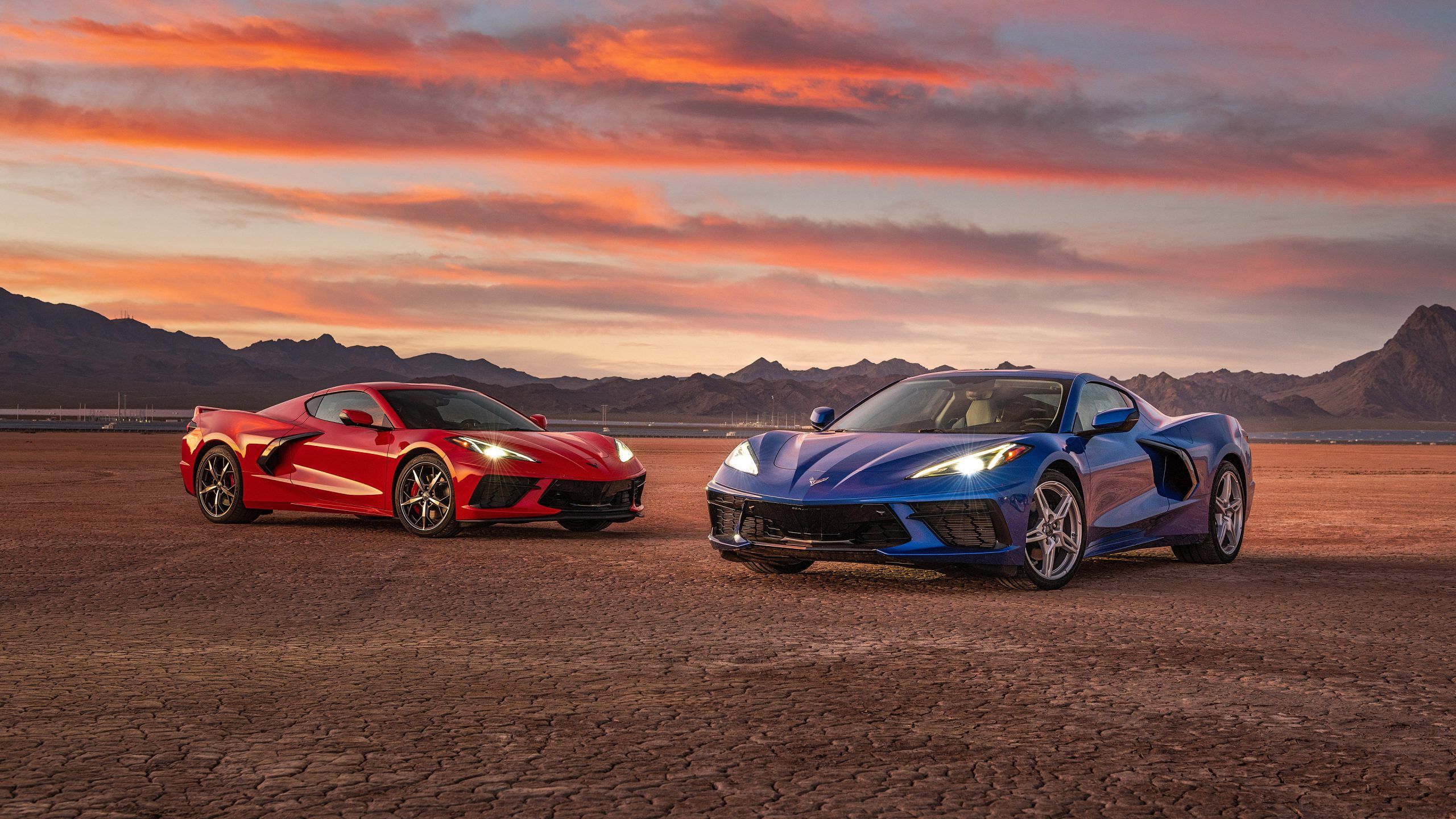 2560x1440 Chevrolet Corvette Stingray Wallpaper