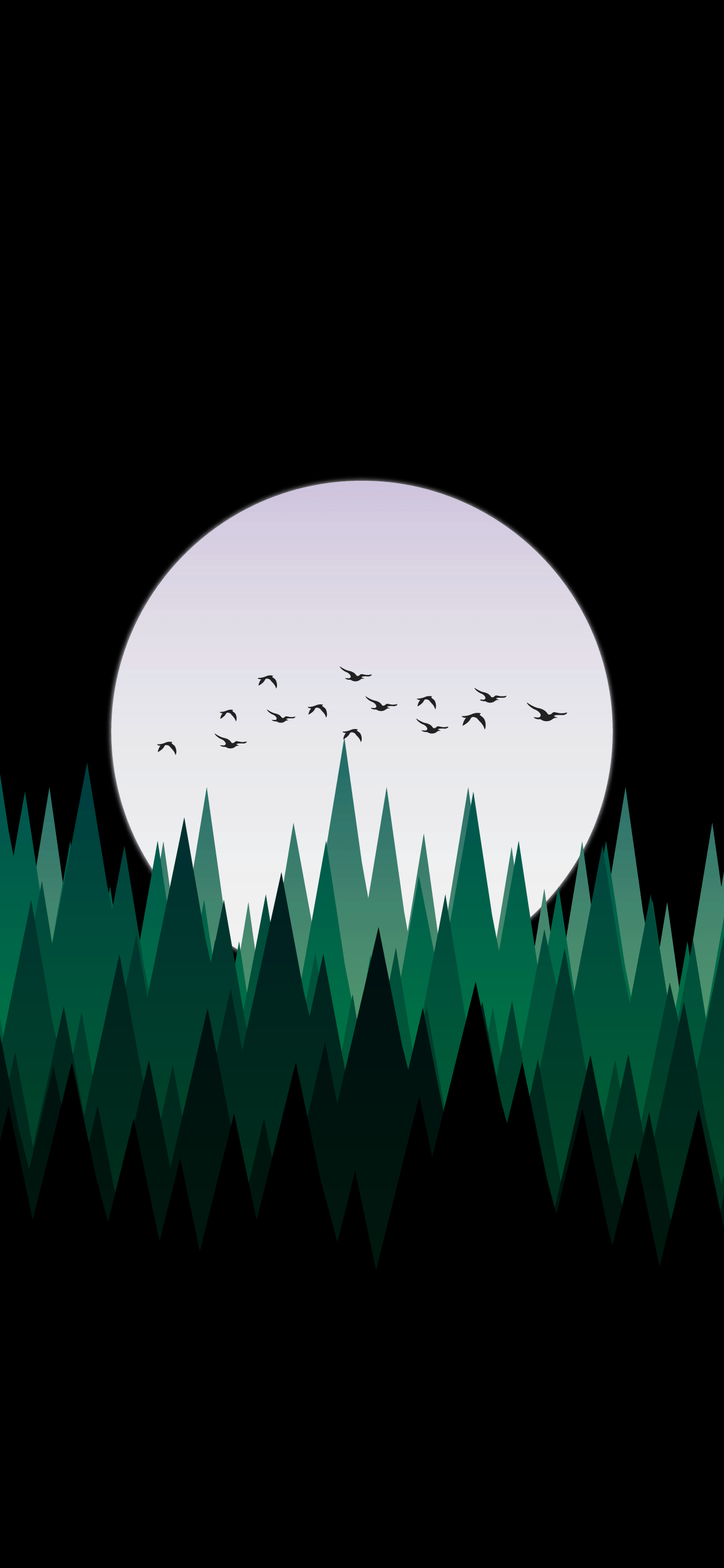 1205x2609 Black wallpaper amoled