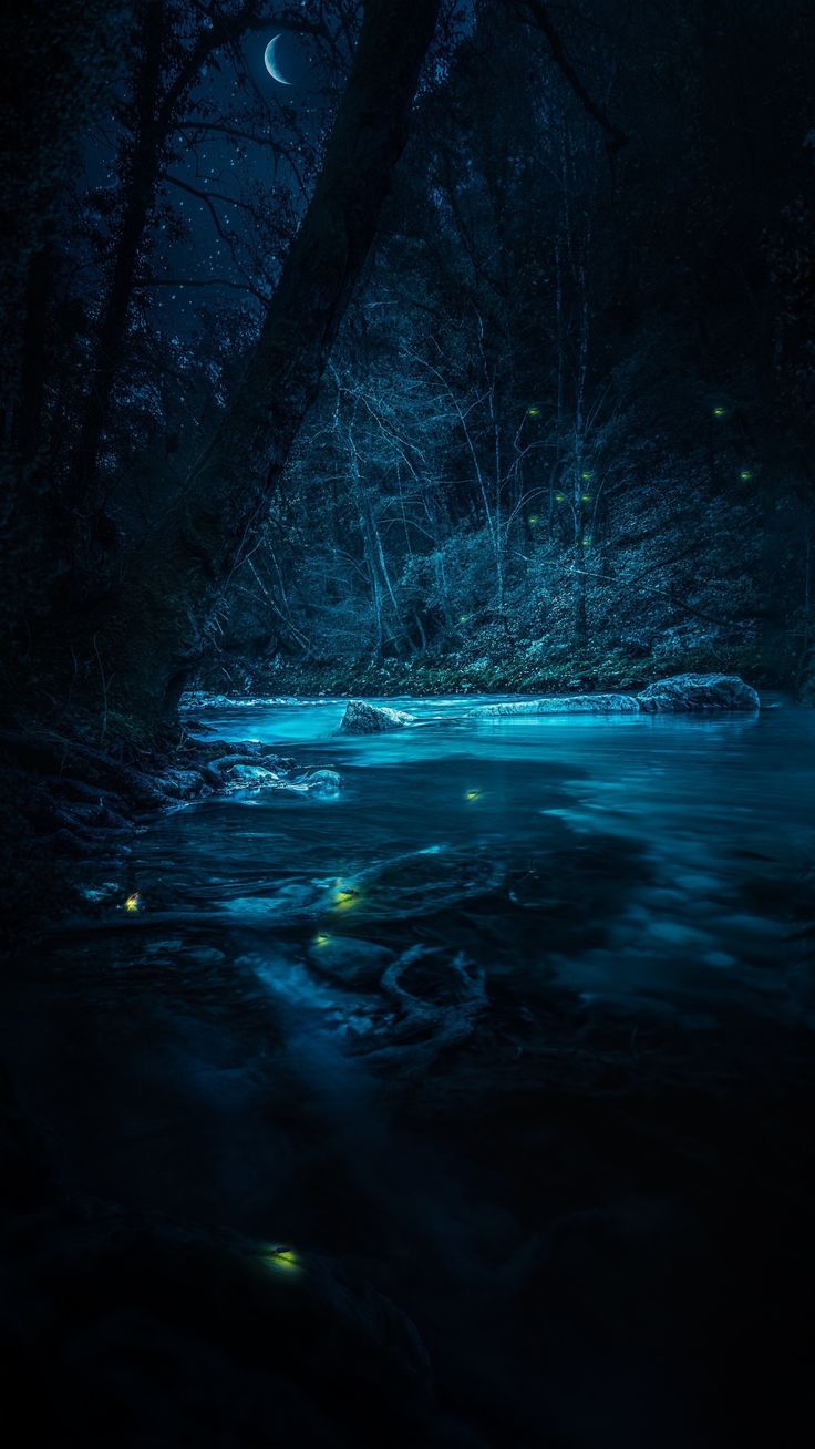 736x1308 Dark and Mysterious Landscape Wallpaper. Amoled wallpaper, Water background, Night forest