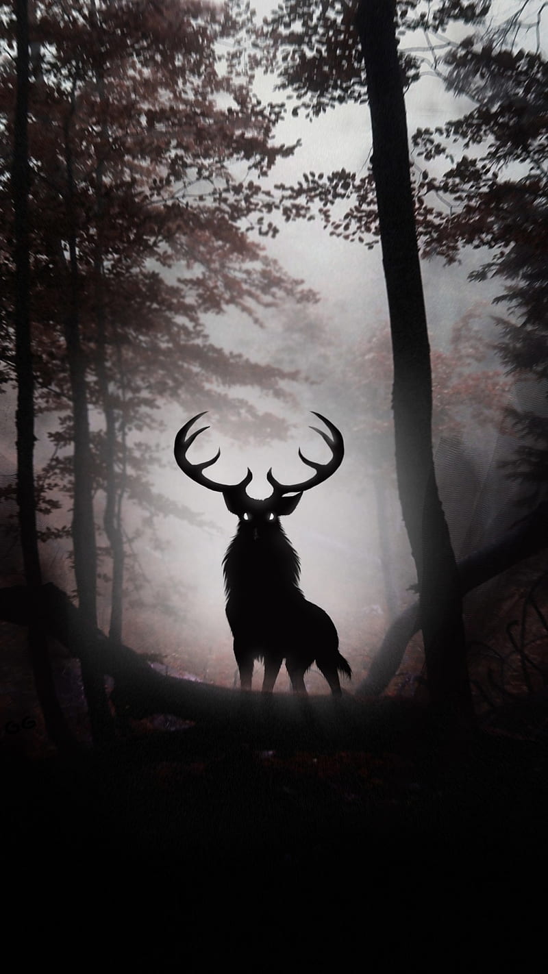 800x1422 Scary Woods amoled, deer, nature, scary, woods, HD phone wallpaper