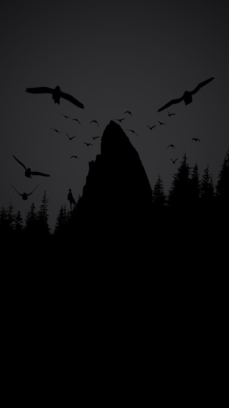 800x1422 Amoled Mountain, birds, forest, HD phone wallpaper