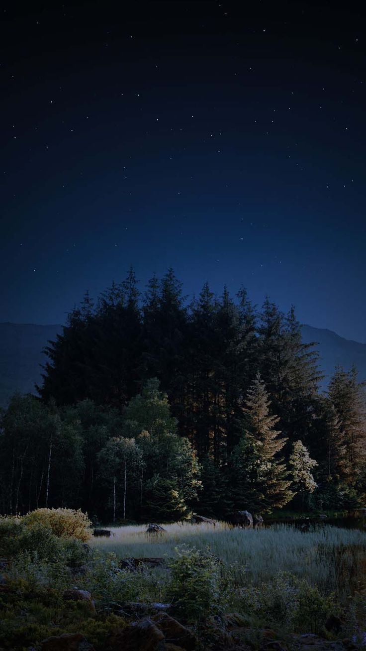 736x1308 iWallpaper