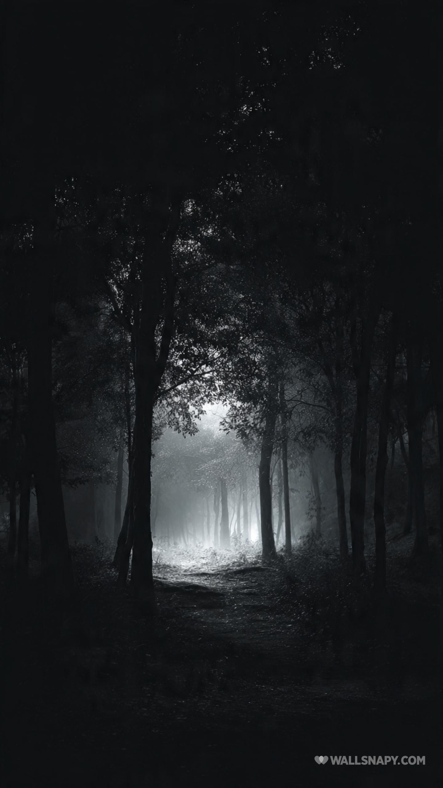 1440x2560 Amoled aesthetic forest mobile 4k wallpaper