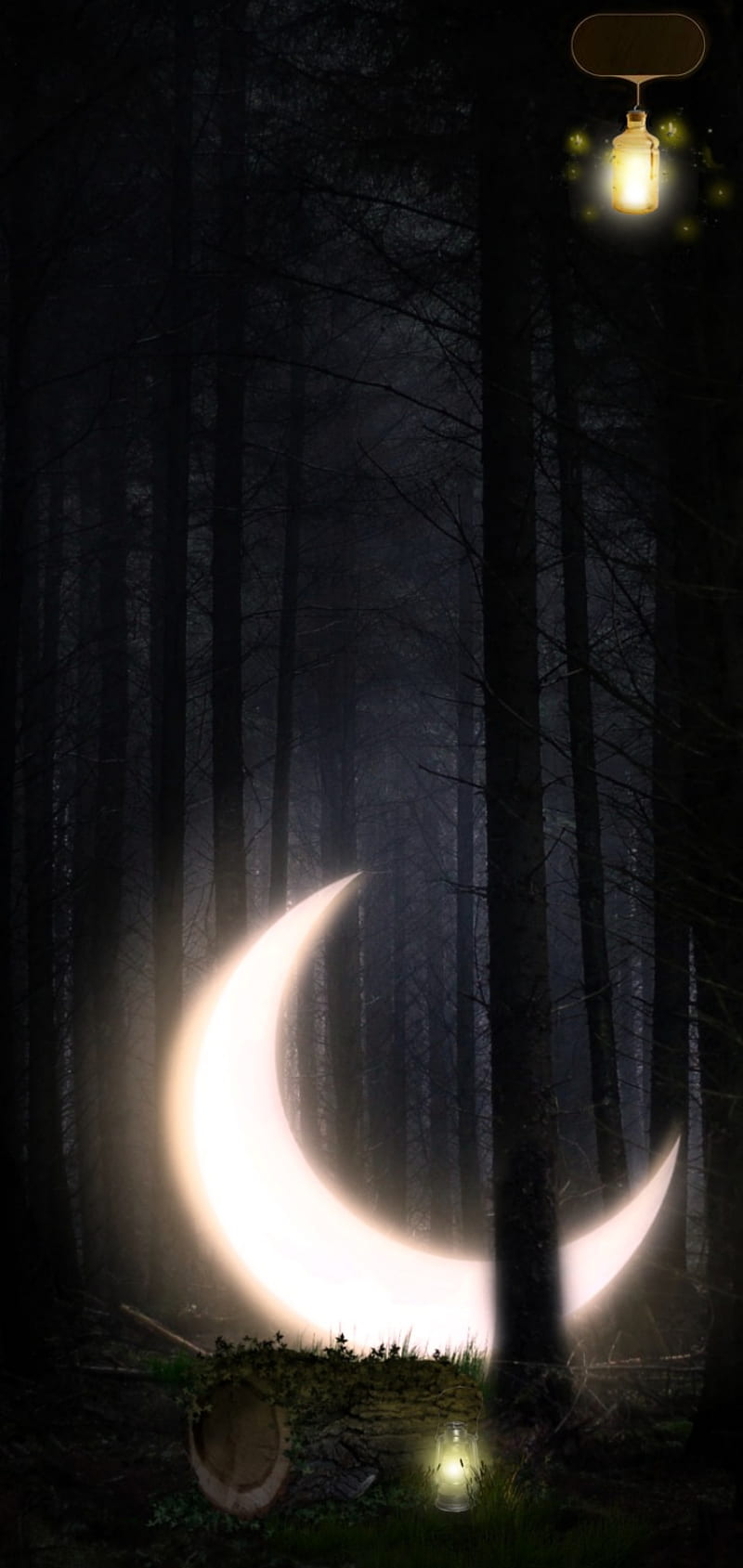 800x1689 Dark Forest, amoled, galaxy s10 plus, surreal, HD phone wallpaper