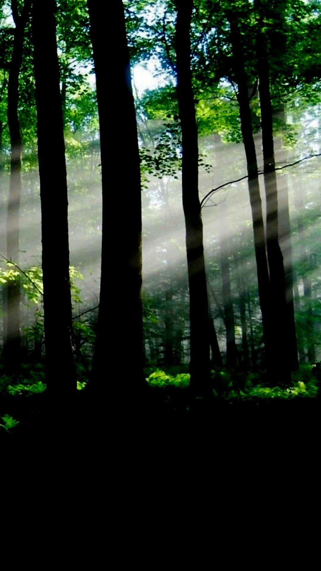 1080x1920 Amoled Nature Edition Nature Themed Amoled Background