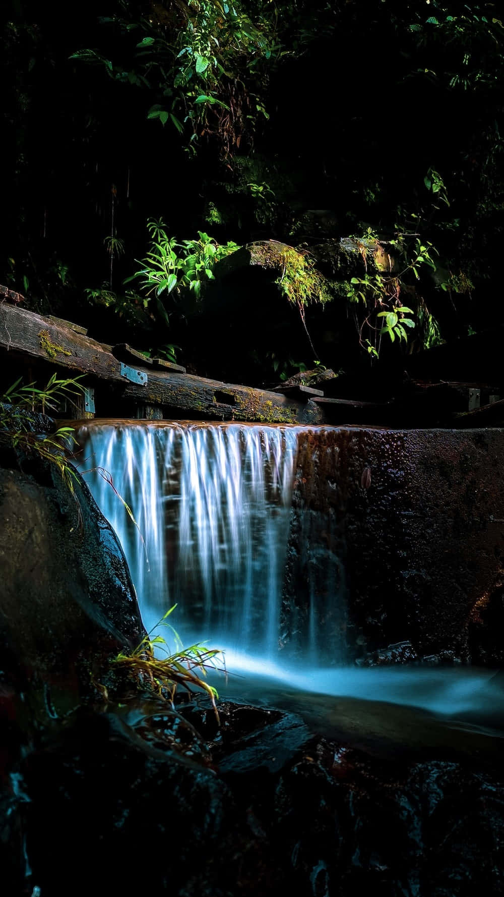 1000x1778 Download a waterfall in the forest Background