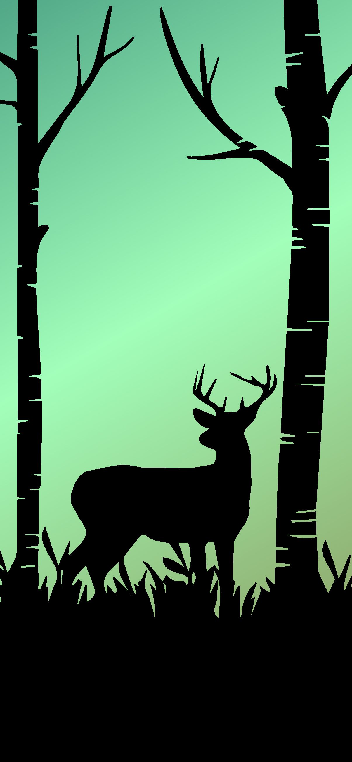 1205x2609 AMOLED WALLPAPER IPHONE HD IN FOREST