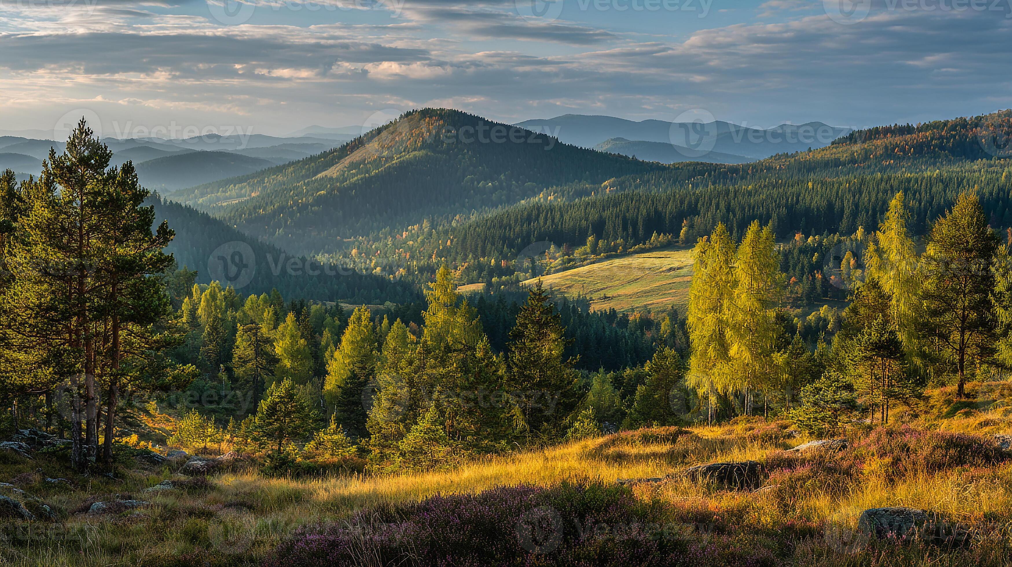 3497x1960 Sharp and clean natural beauty in scenic wallpaper photo