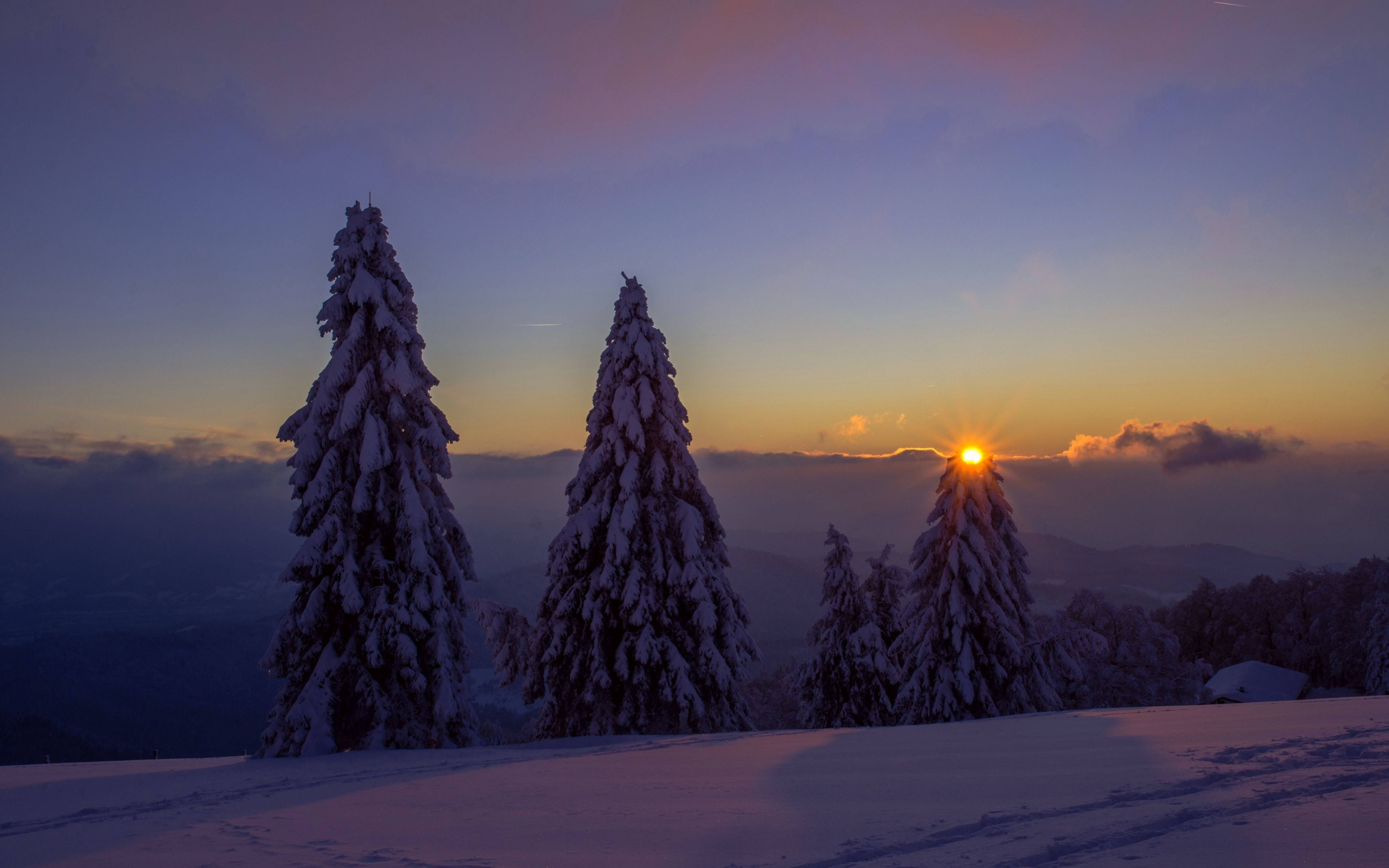 5500x3438 Download Tundra Landscape Clean 4K Wallpaper
