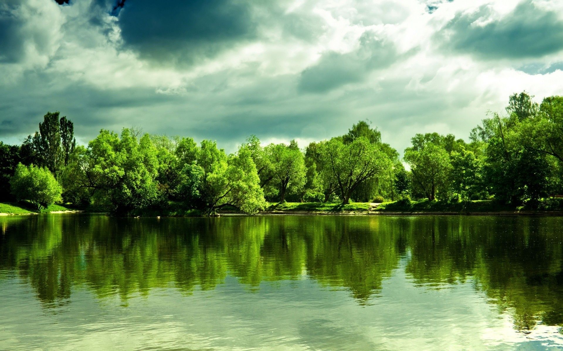 1920x1200 Green Forest With Clean