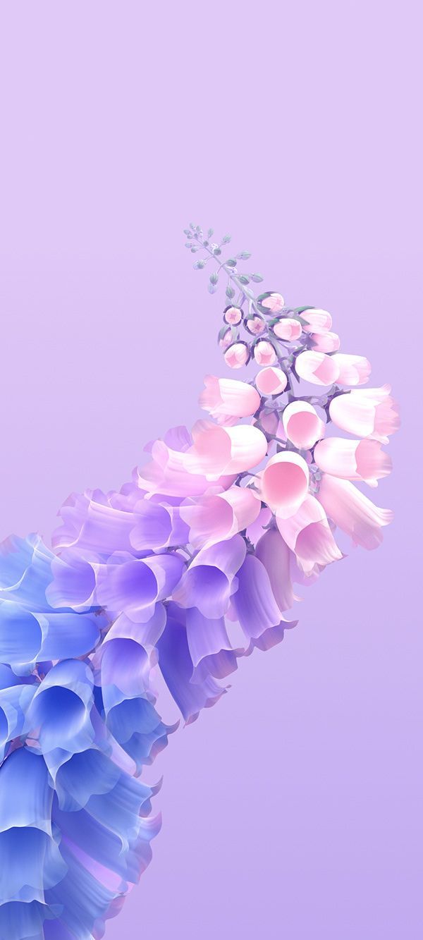 600x1333 Vivo Live Wallpaper A V O