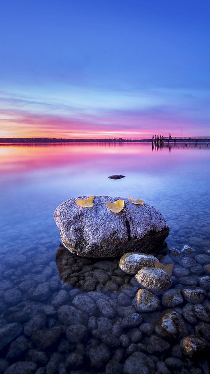 736x1308 Wallpaper Hp Natural