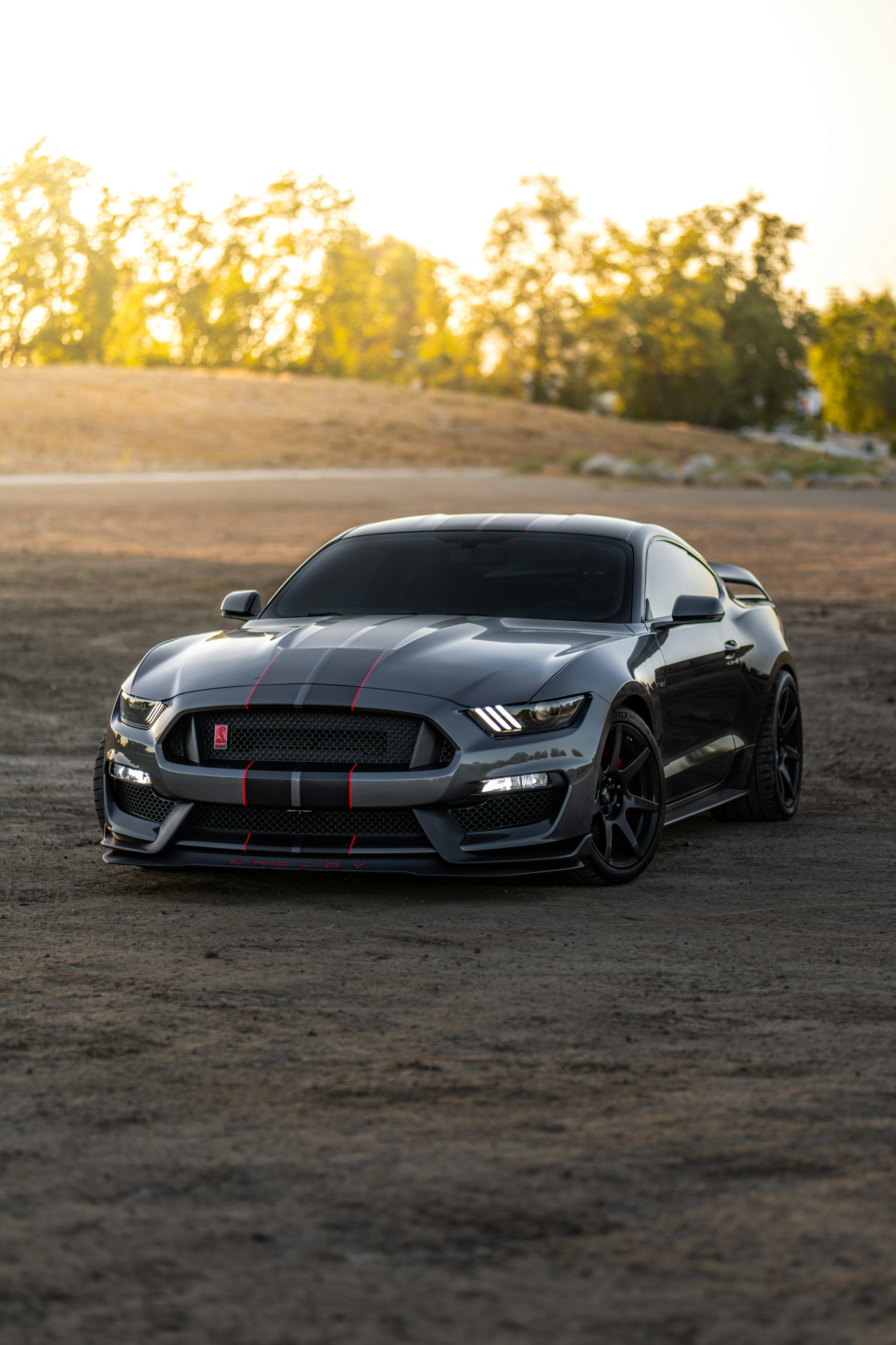 3000x4503 Mustang Wallpaper: Free HD Download [4K]