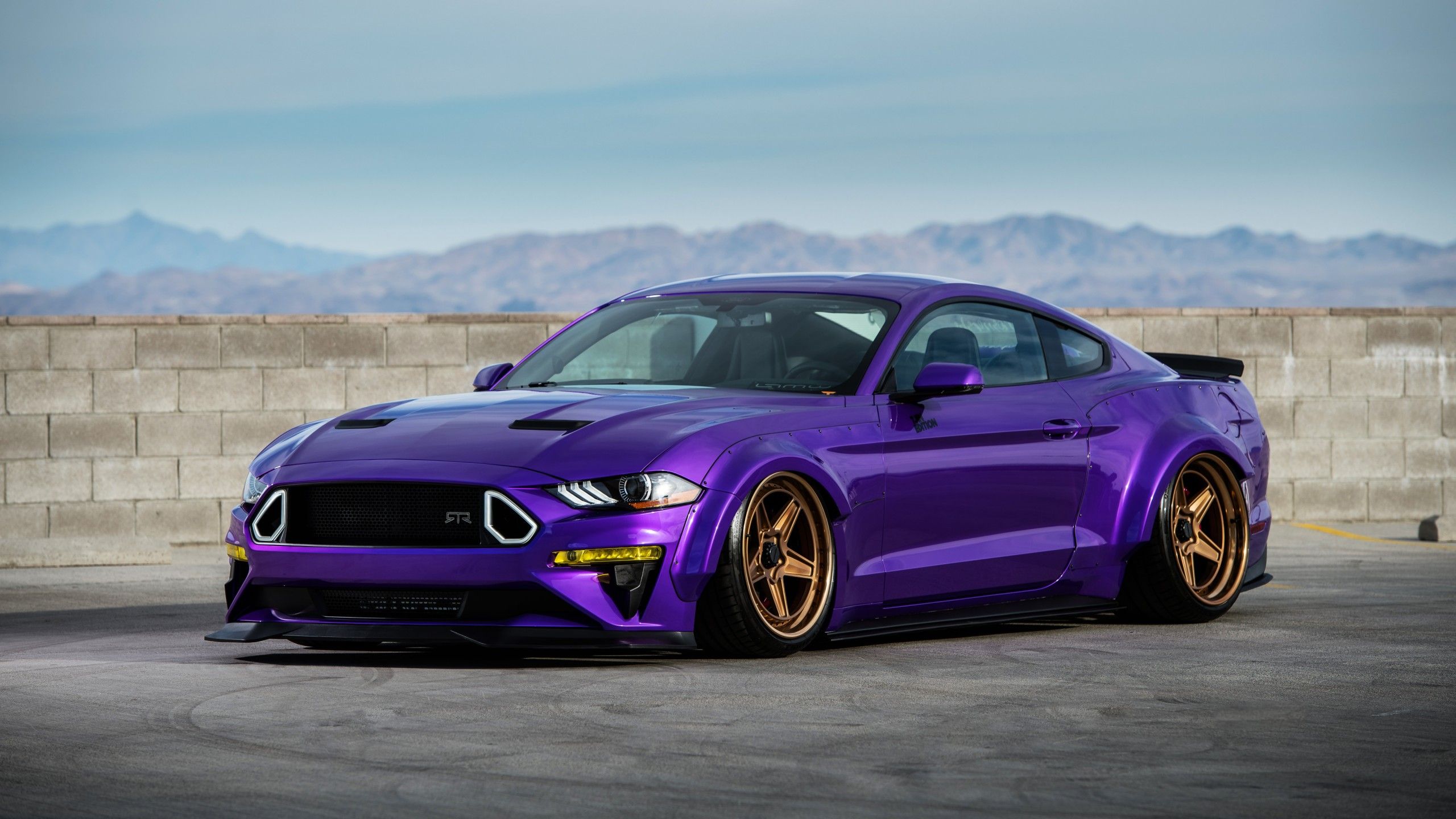 2560x1440 TJIN Edition Ford Mustang EcoBoost 4K Wallpaper