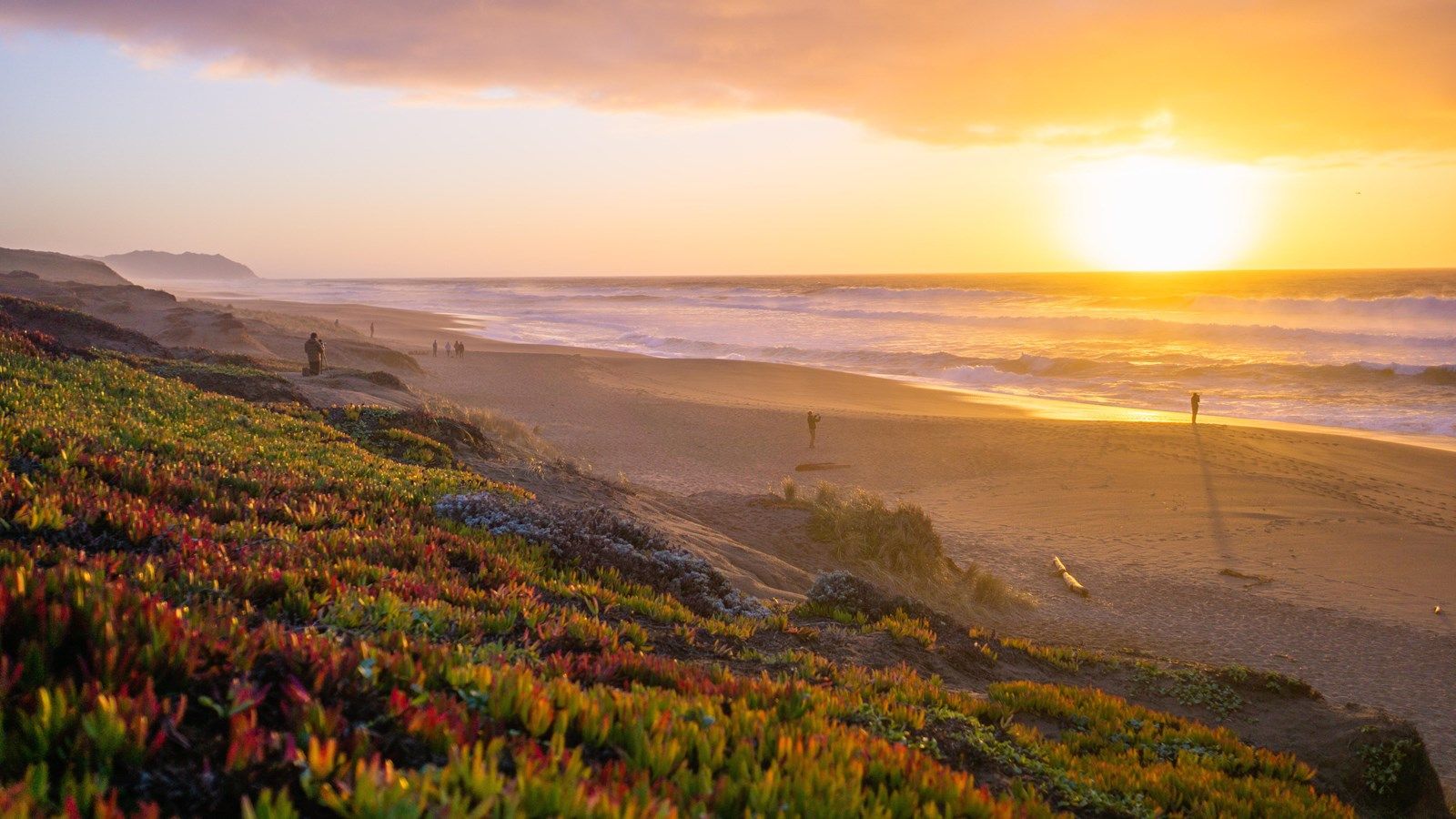 1600x900 North Beach at Point Reyes Beach (U.S. National Park Service)
