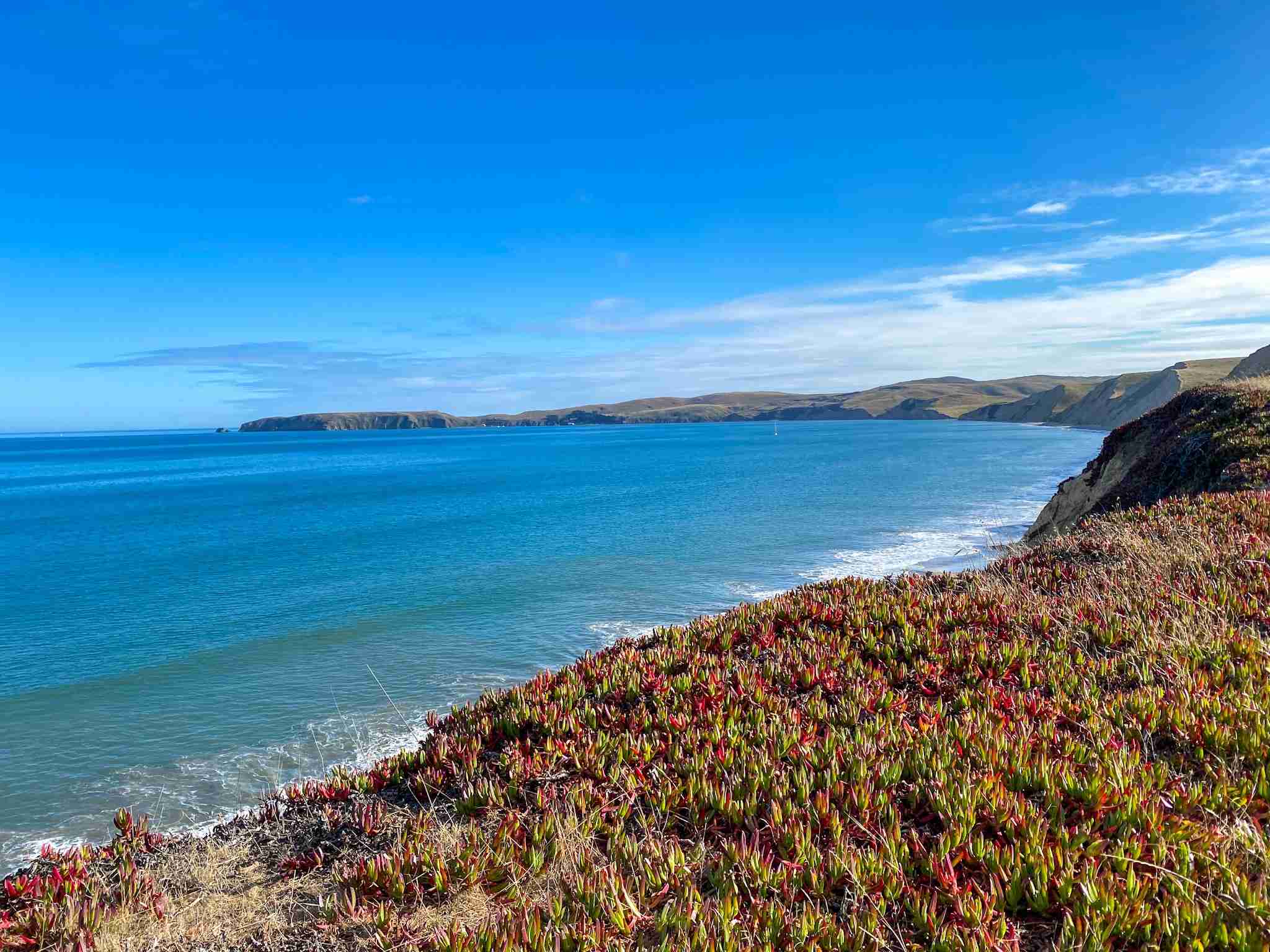 2048x1536 Awesome Things to Do in Point Reyes, Set, PTO