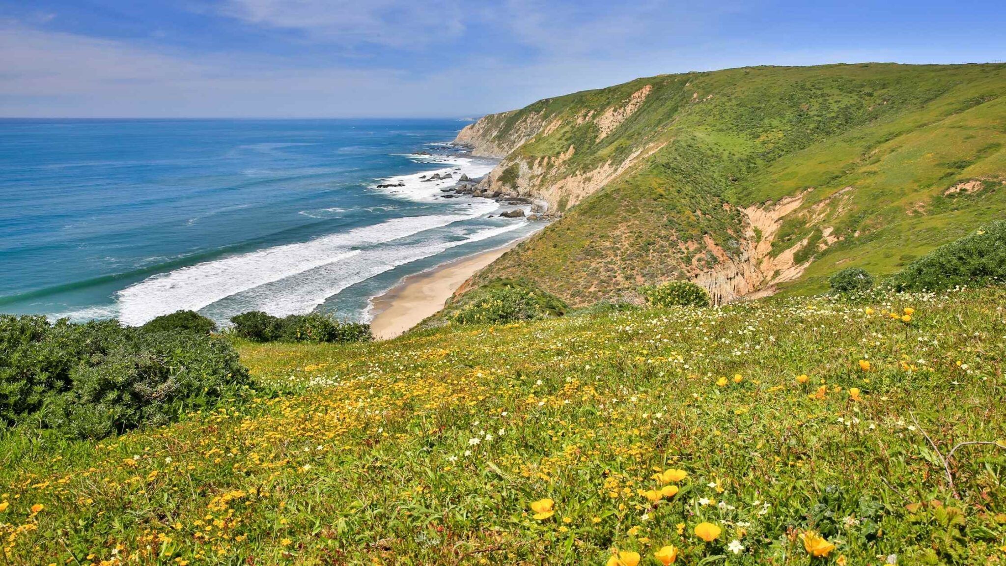 2048x1152 Best Hikes In Point Reyes In California You Should Plan