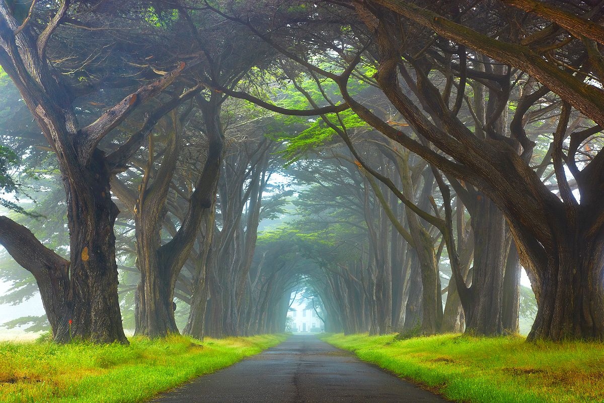 1200x800 Myst Point Reyes National Seashore California Wallpaper​-Quality Free Image and Transparent PNG Clipart