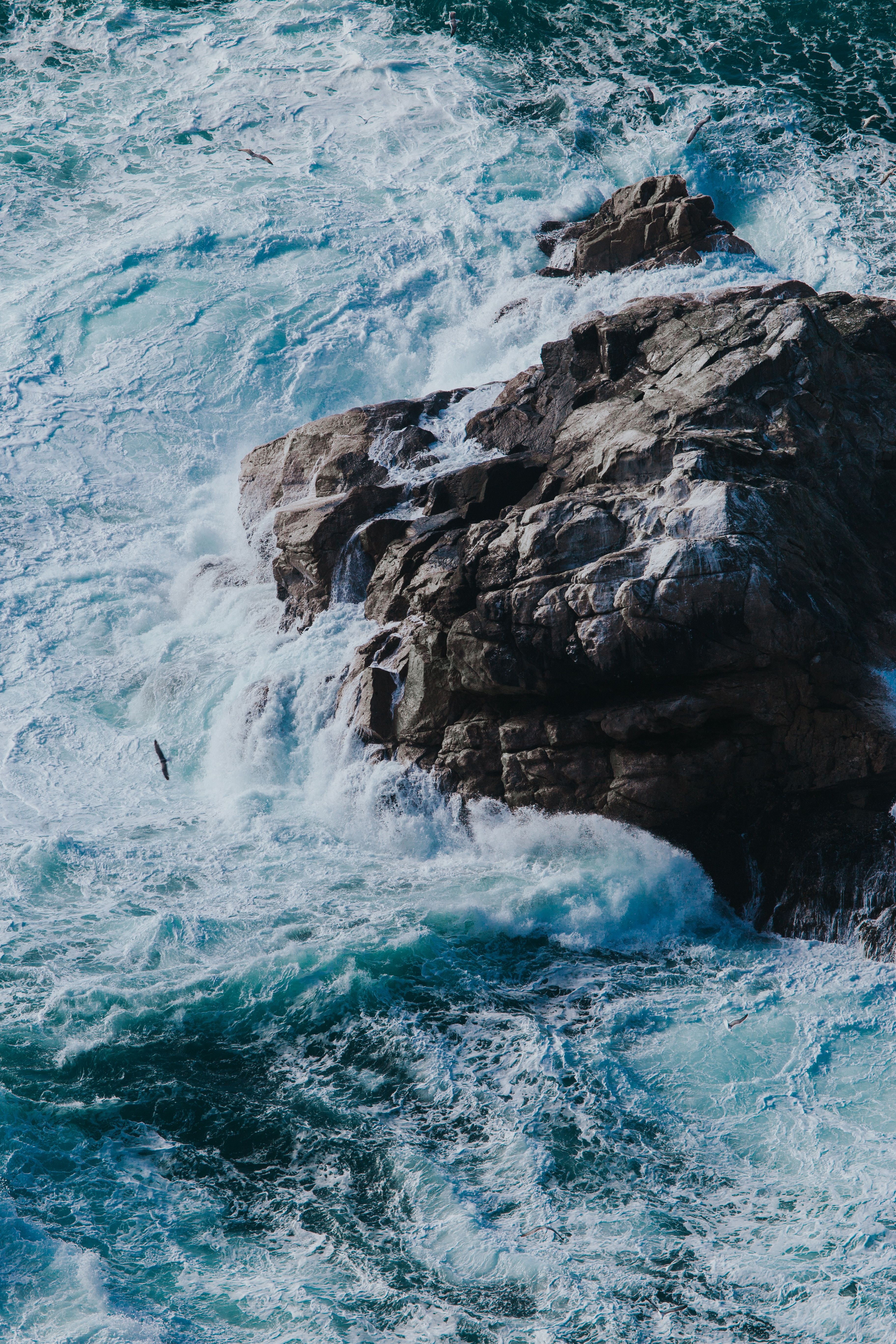 3648x5472 Point Reyes iPhone Wallpaper