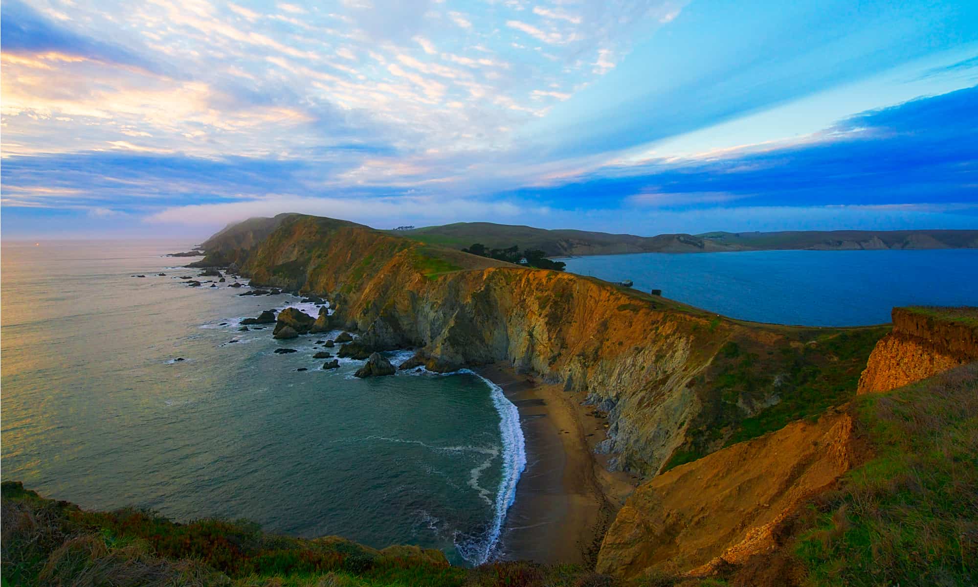 2000x1200 Explore Tomales Point Trail And Witness Rare Tule Elk In Action Z Animals