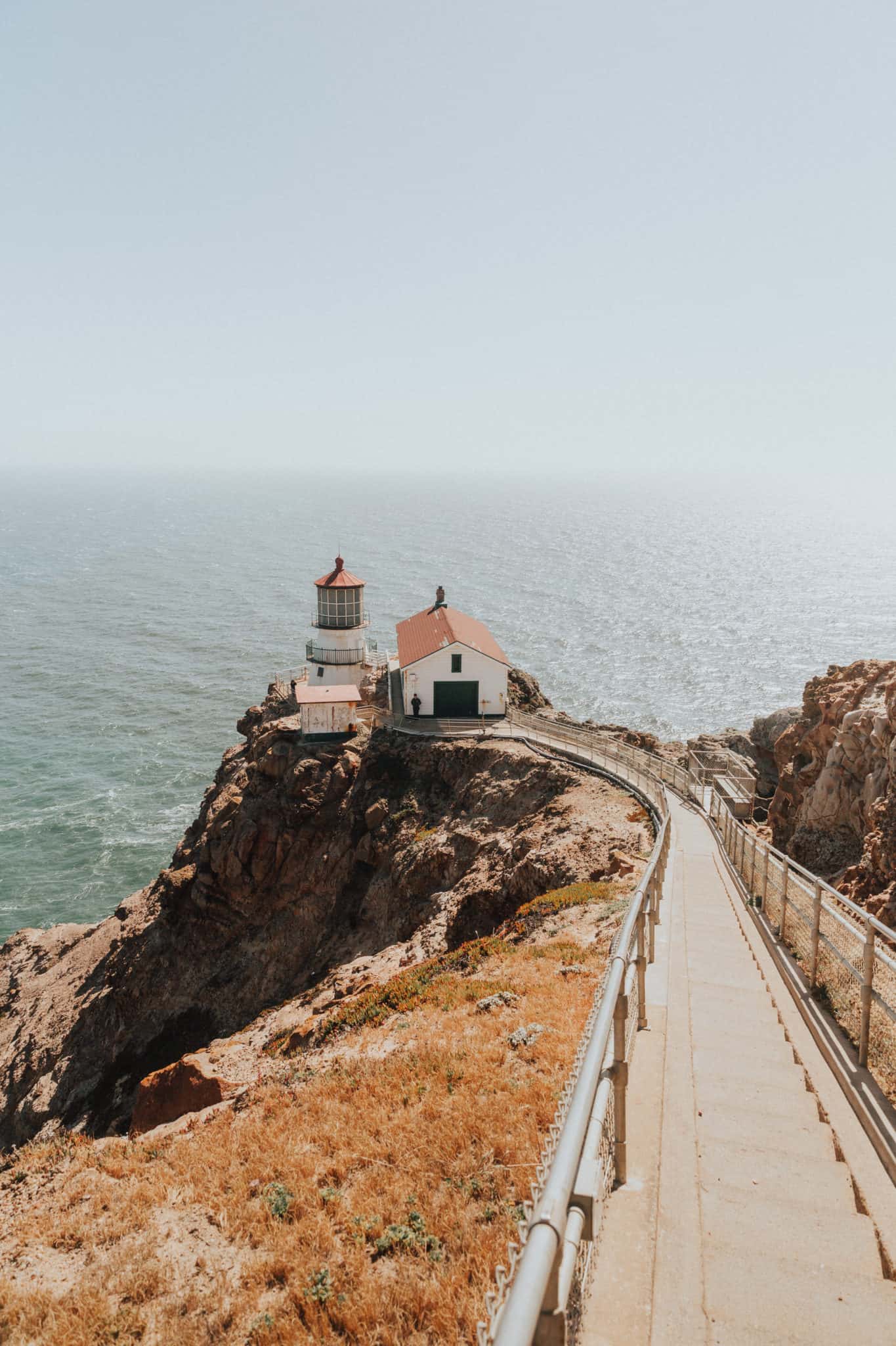 1365x2048 Incredible Things To Do At Point Reyes National Seashore