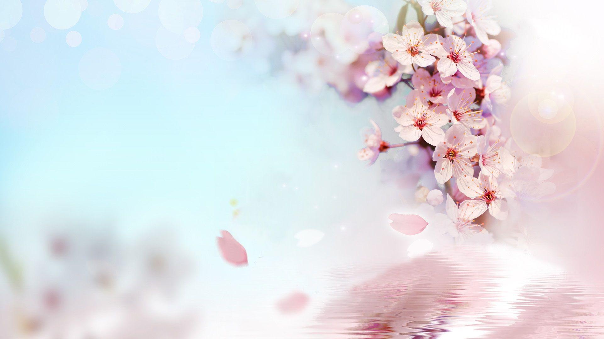 1921x1080 Free download Peach Flowers Wallpaper HD Picture One HD Wallpaper [1921x1080] for your Desktop, Mobile & Tablet. Explore Free HD Flower Wallpaper. Flower Wallpaper For Computer, Wallpaper Flowers Picture