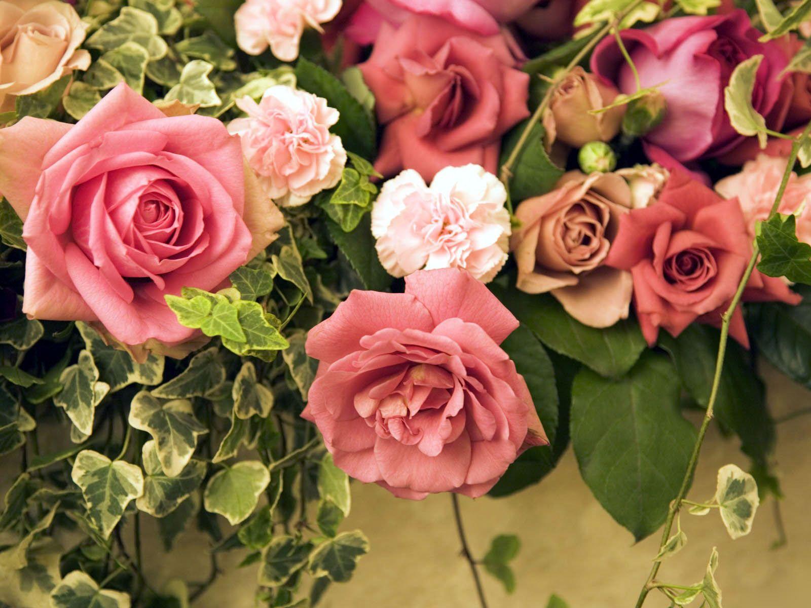 English Rose Garden Wallpapers - Top Free English Rose Garden ...