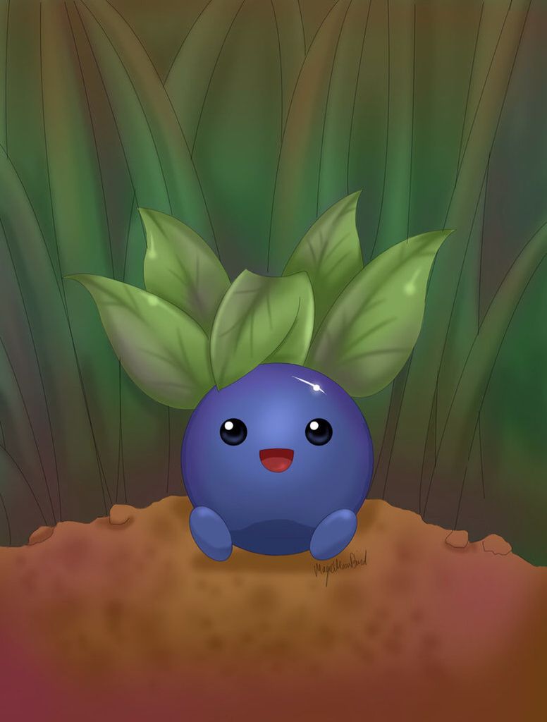 776x1024 Oddish ideas. oddish fan art, oddish drawing, oddish pokemon drawing