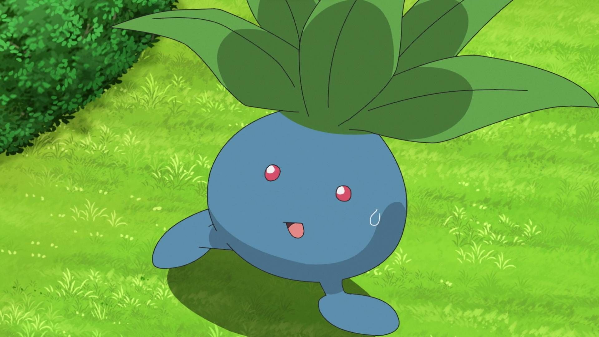 1920x1080 Official Pokemon stream asks players to Discover Oddish, mysteriously runs a blank screen for 16 hours, refuses to elaborate