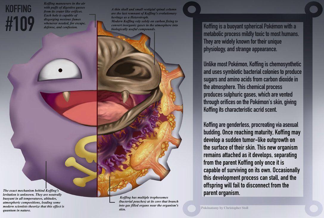 1088x735 Koffing HD Wallpaper