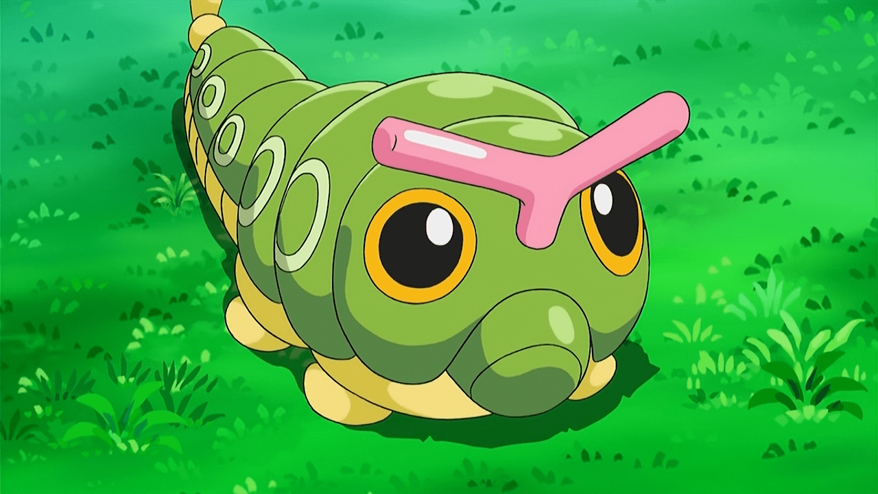 1280x720 Discover 17 caterpie and caterpie caterpillar ideas. caterpie anime, caterpie art, caterpie drawing and more