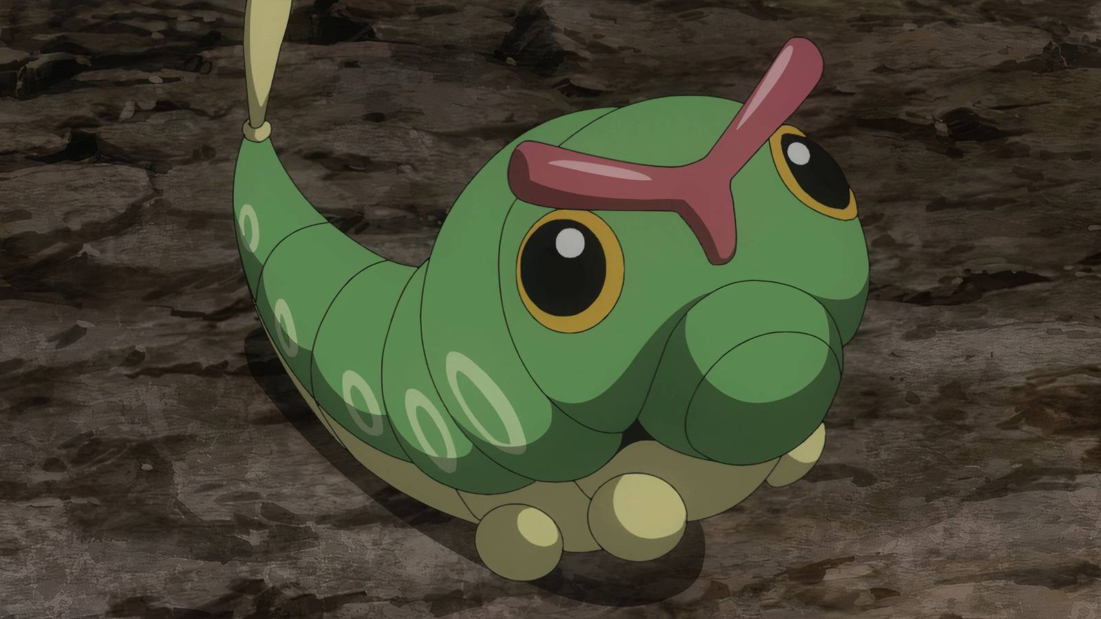 1600x900 Pokemon Fan Shares Charming Caterpie Themed Pies