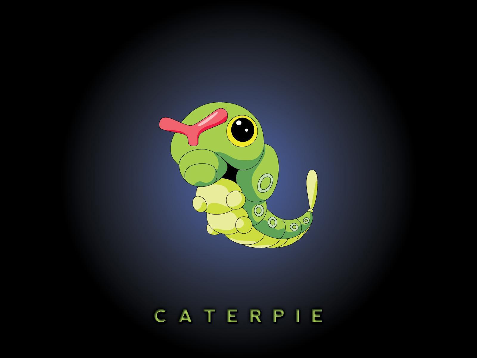 1600x1200 Metapod HD Wallpaper