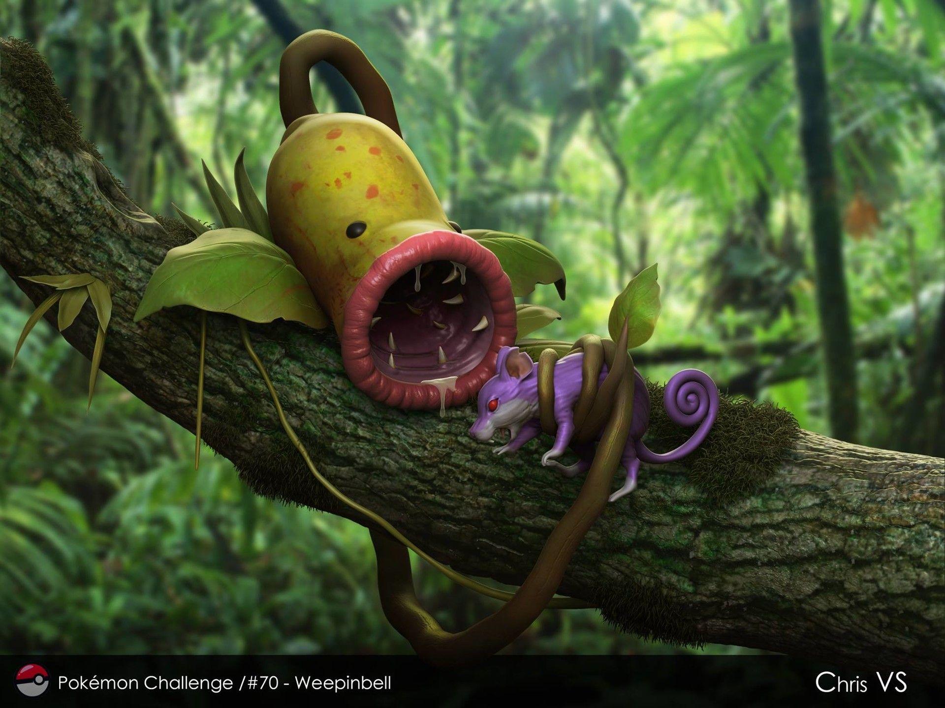 1920x1440 Weepinbell HD Wallpaper