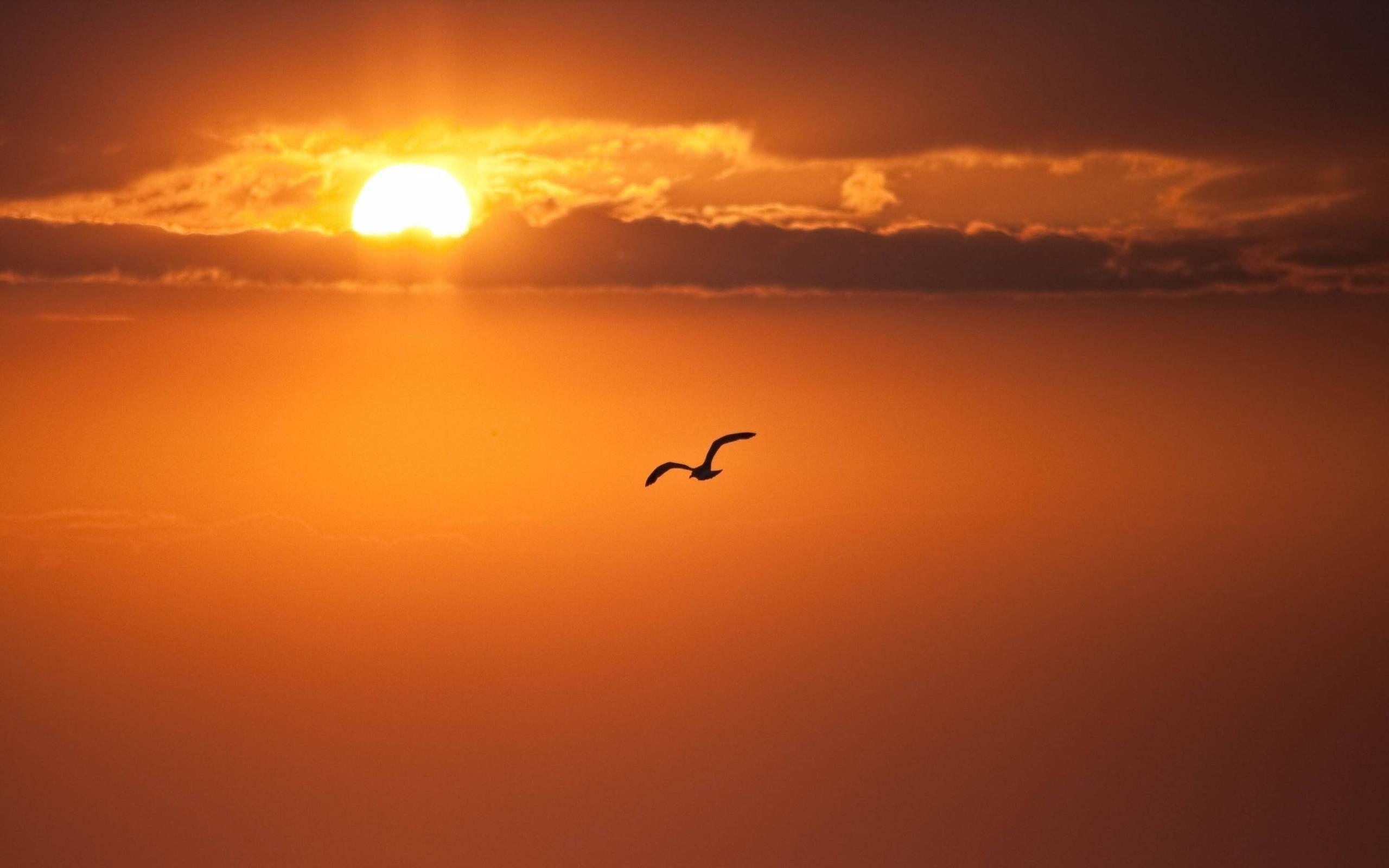 2560x1600 Sunset Wallpaper