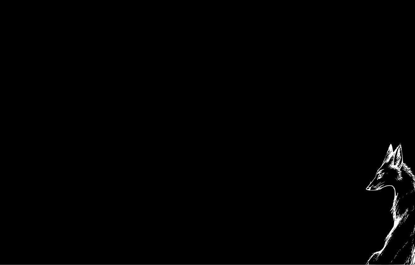 1332x850 Black Fox Wallpaper