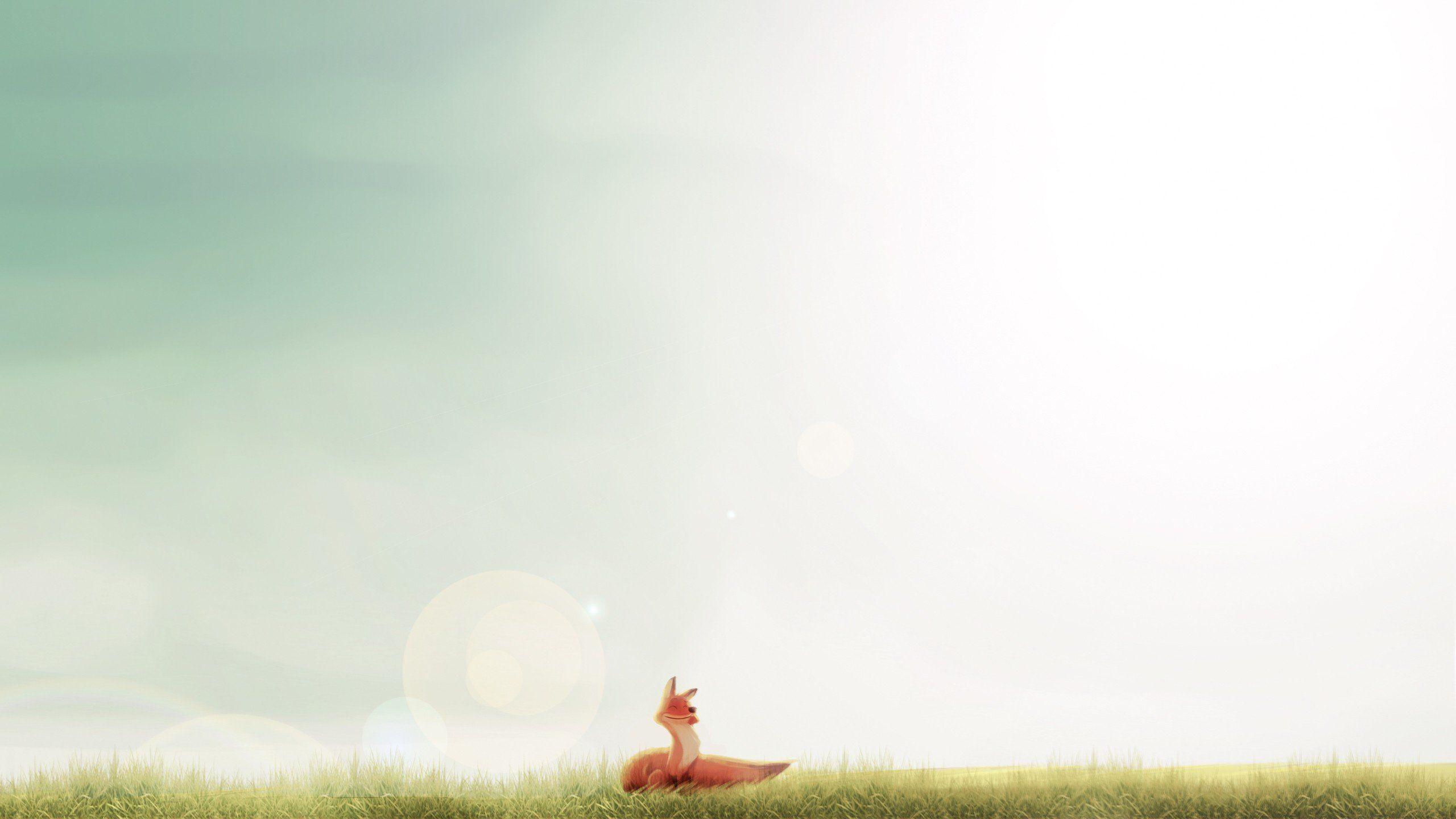 2560x1440 fox, Minimalism, Sunlight, Smiling, Happy Wallpaper HD / Desktop and Mobile Background