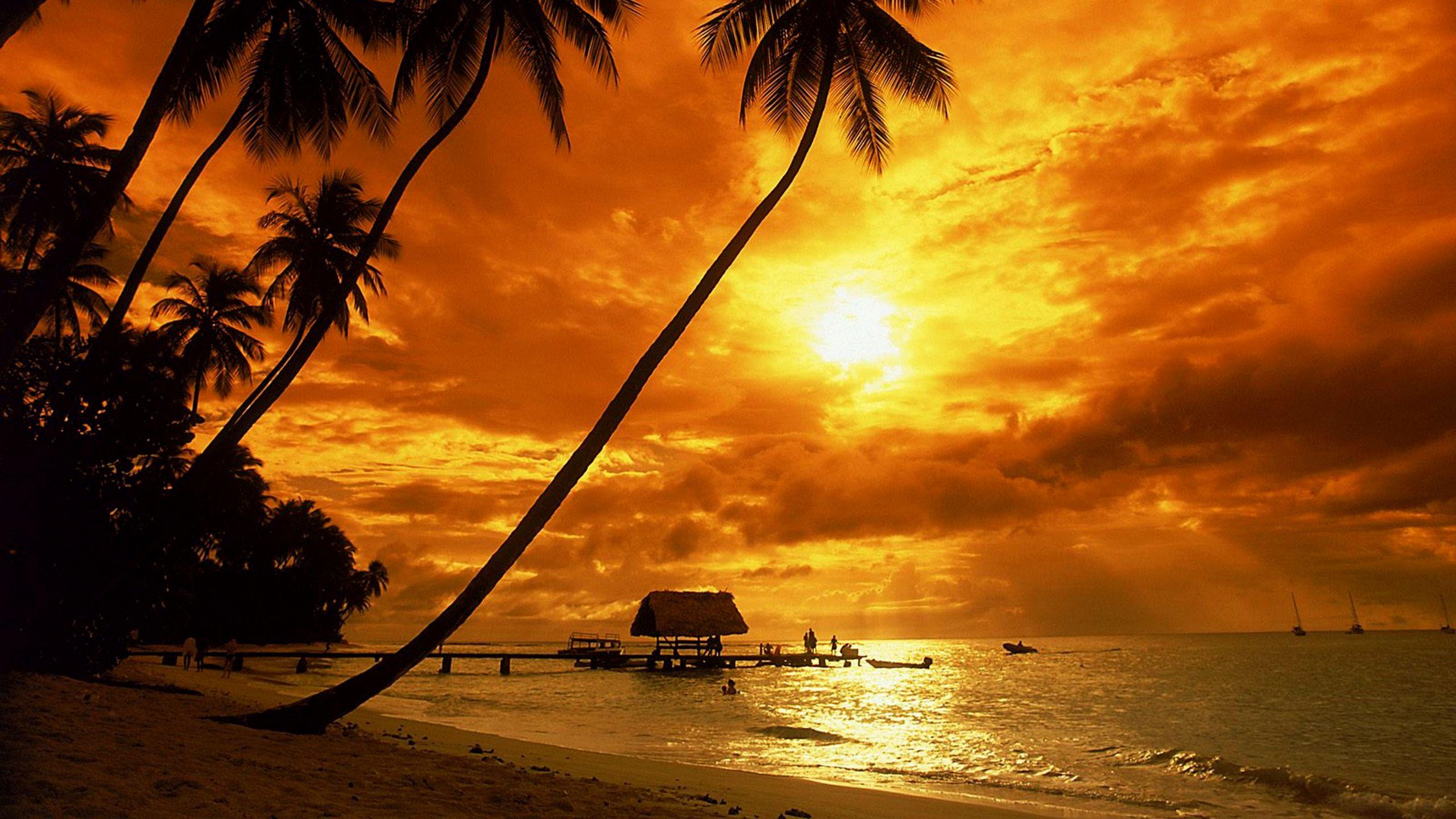 2560x1440 Tropical sunset wallpaper
