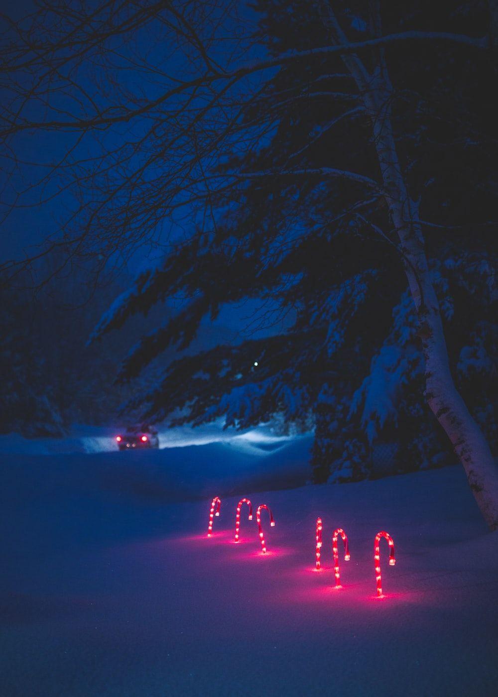 1000x1400 Dark Winter Picture. Download Free Image