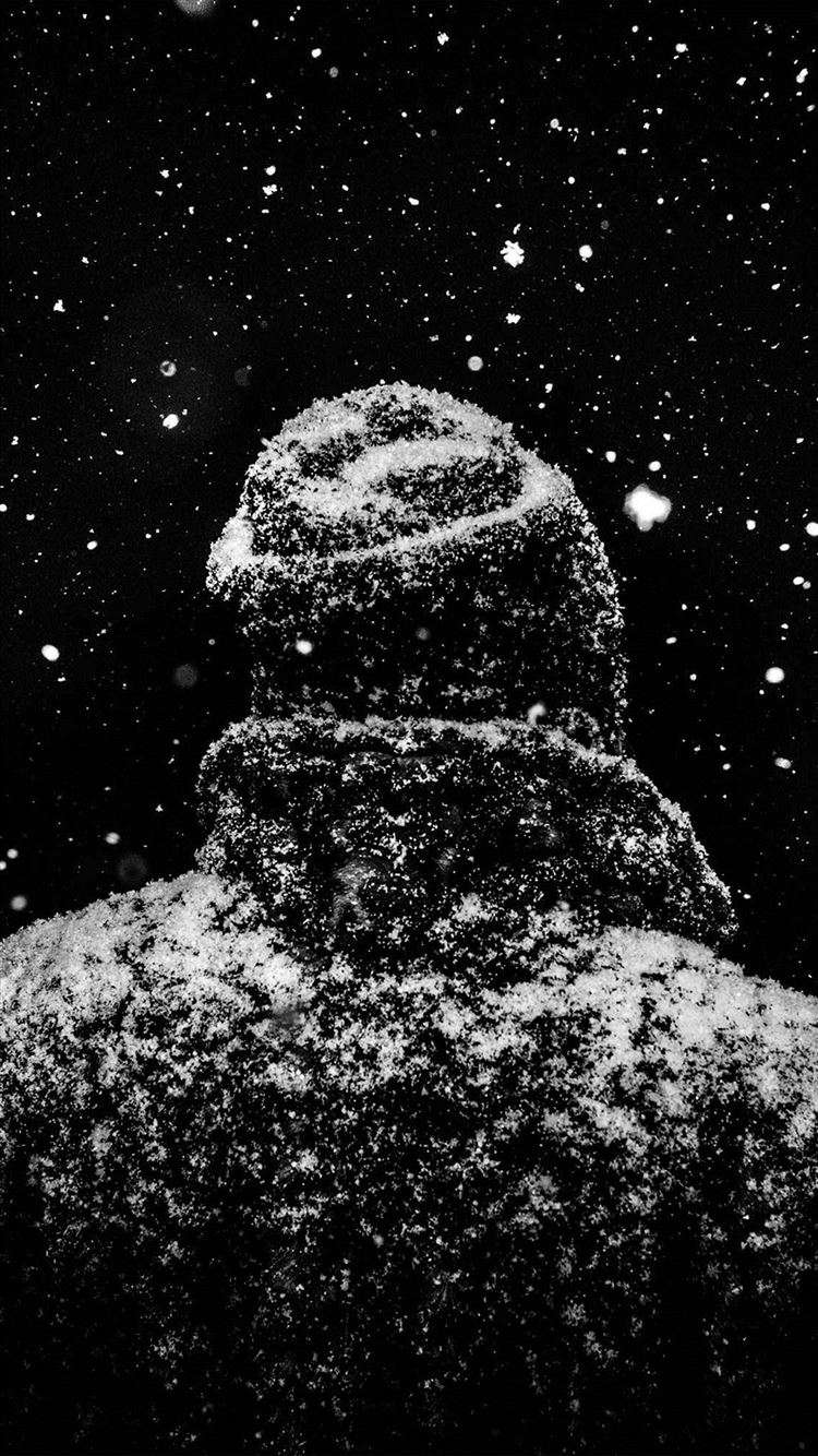 750x1334 Dark Winter Wallpaper Phone