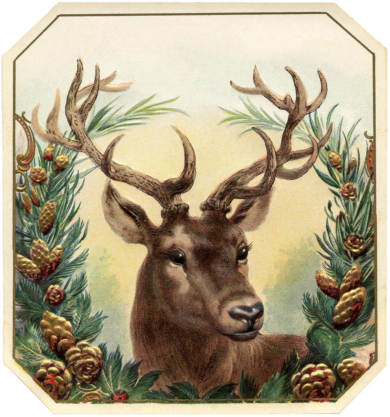 1300x1390 Free Vintage Christmas Image Deer Christmas Deer Background HD Wallpaper