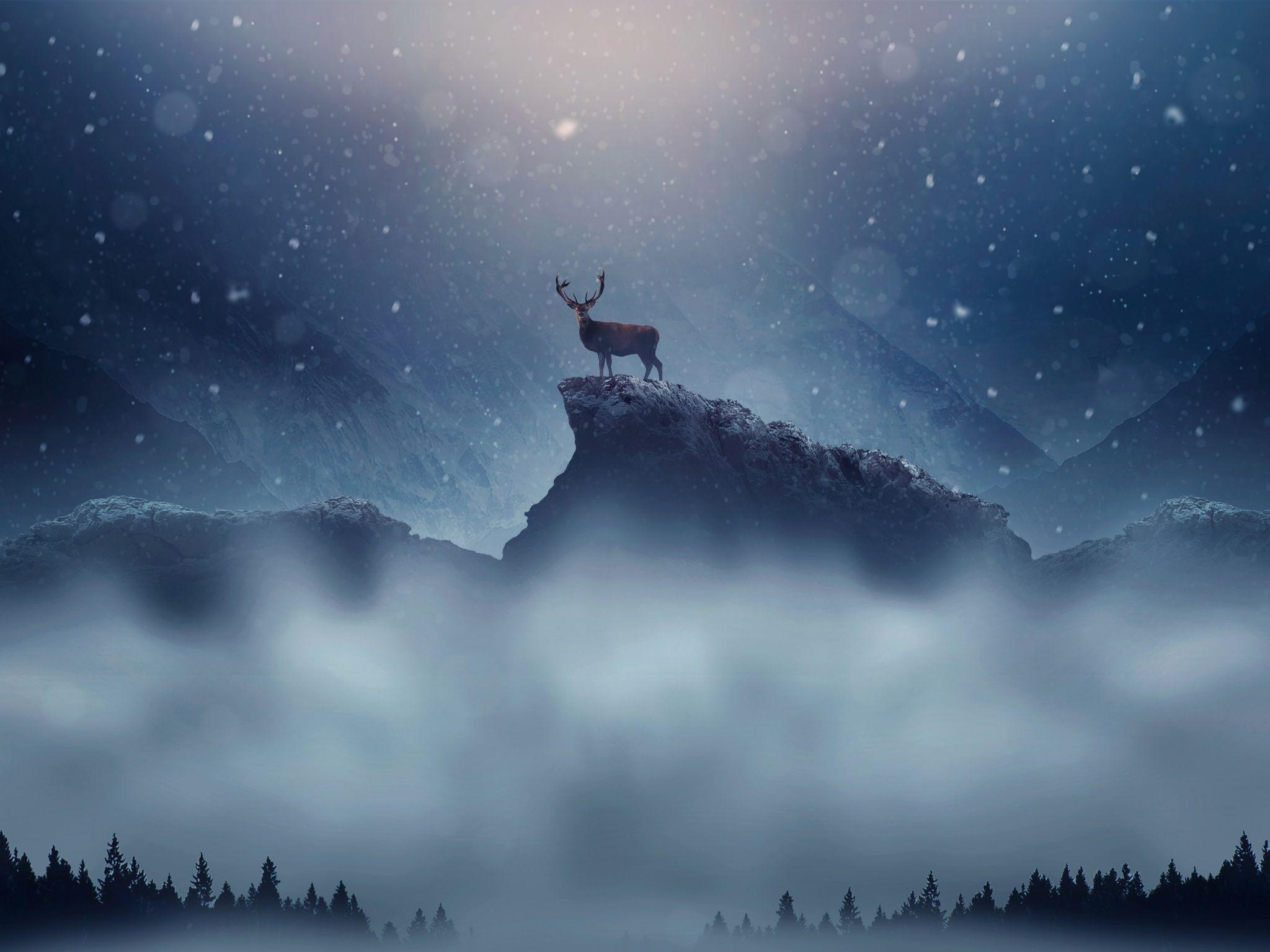 2048x1536 Wallpaper 4k Christmas Deer Snowfall Christmas, Deer, Snowfall