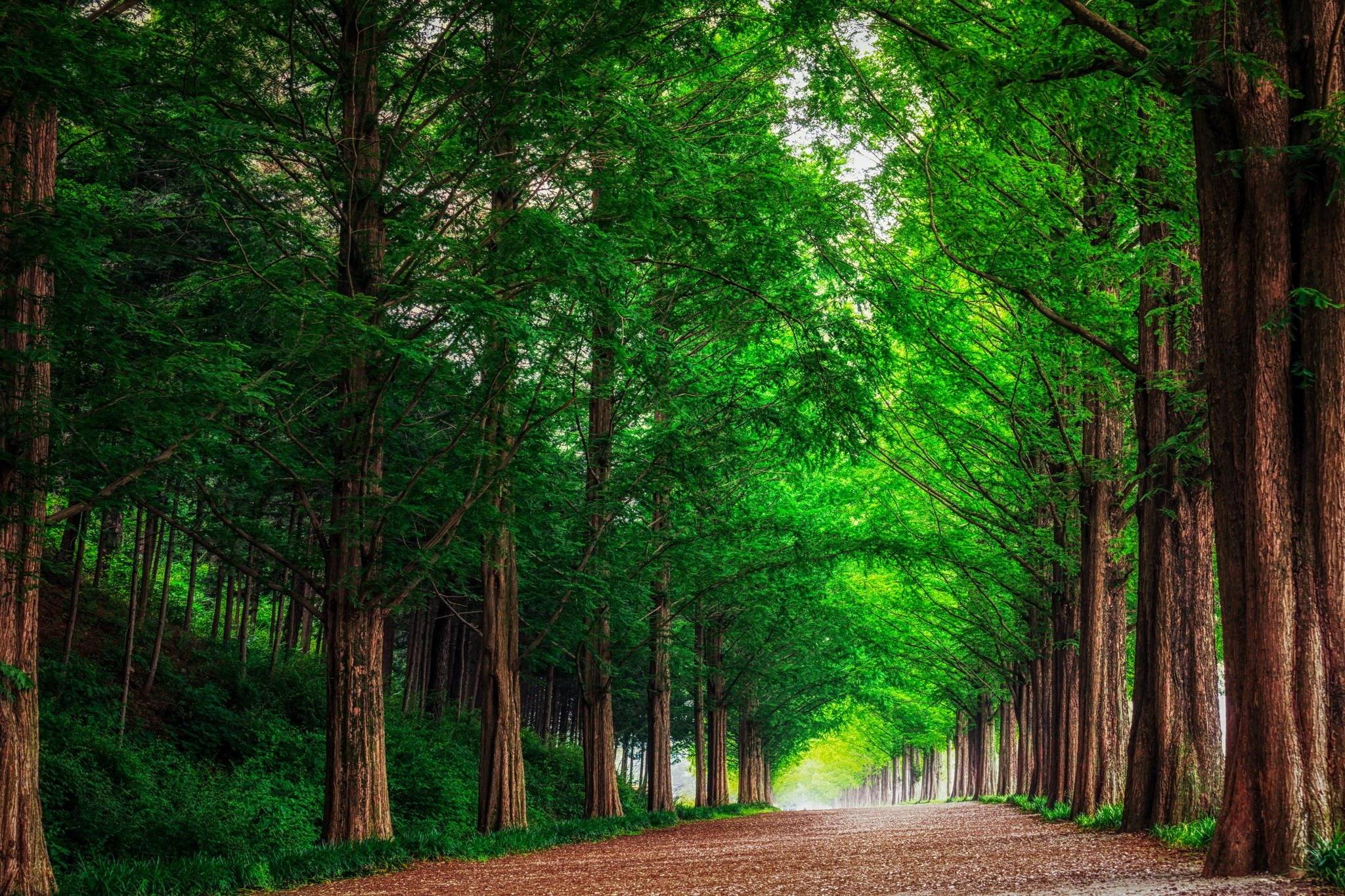 2048x1365 Korea Landscape Wallpaper .