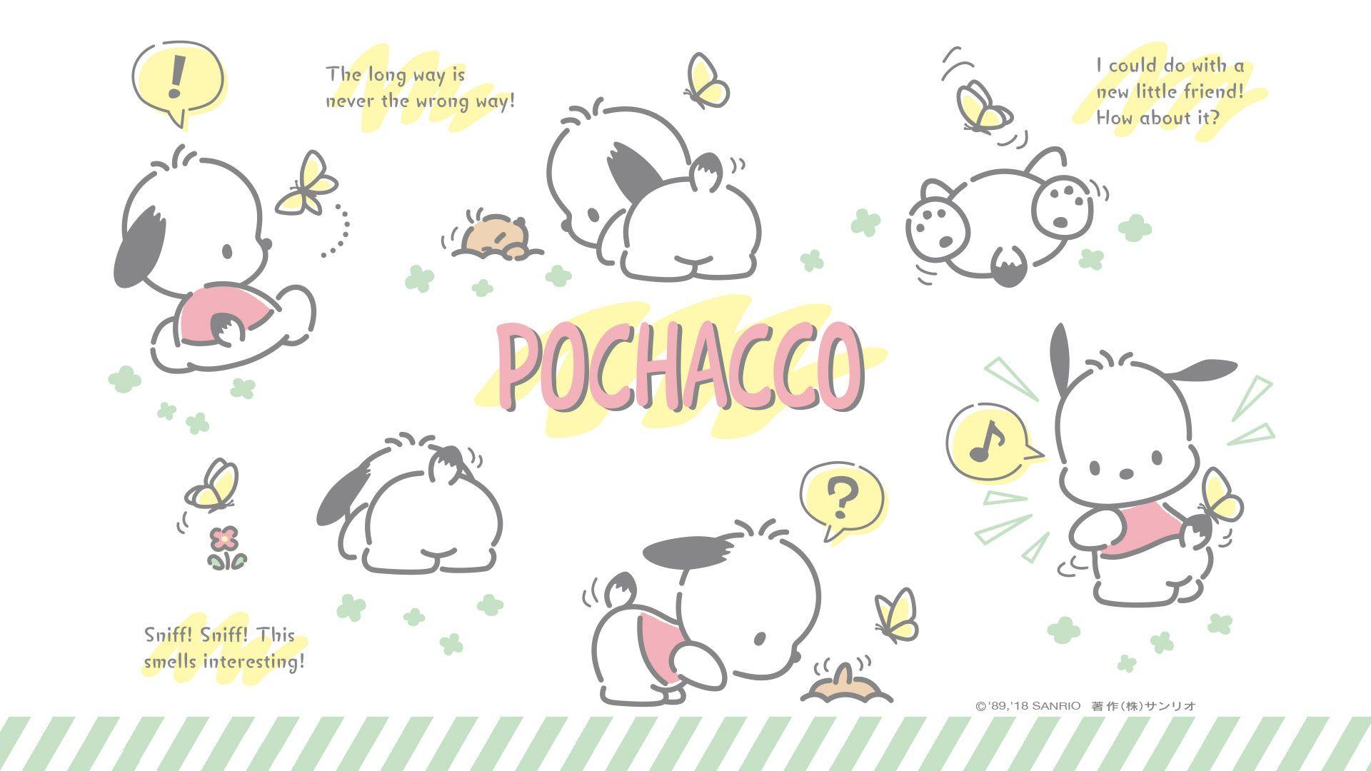 1920x1080 1920×1080】201808 Sanrio Newsletter. Cute desktop wallpaper, Sanrio wallpaper, iPad wallpaper
