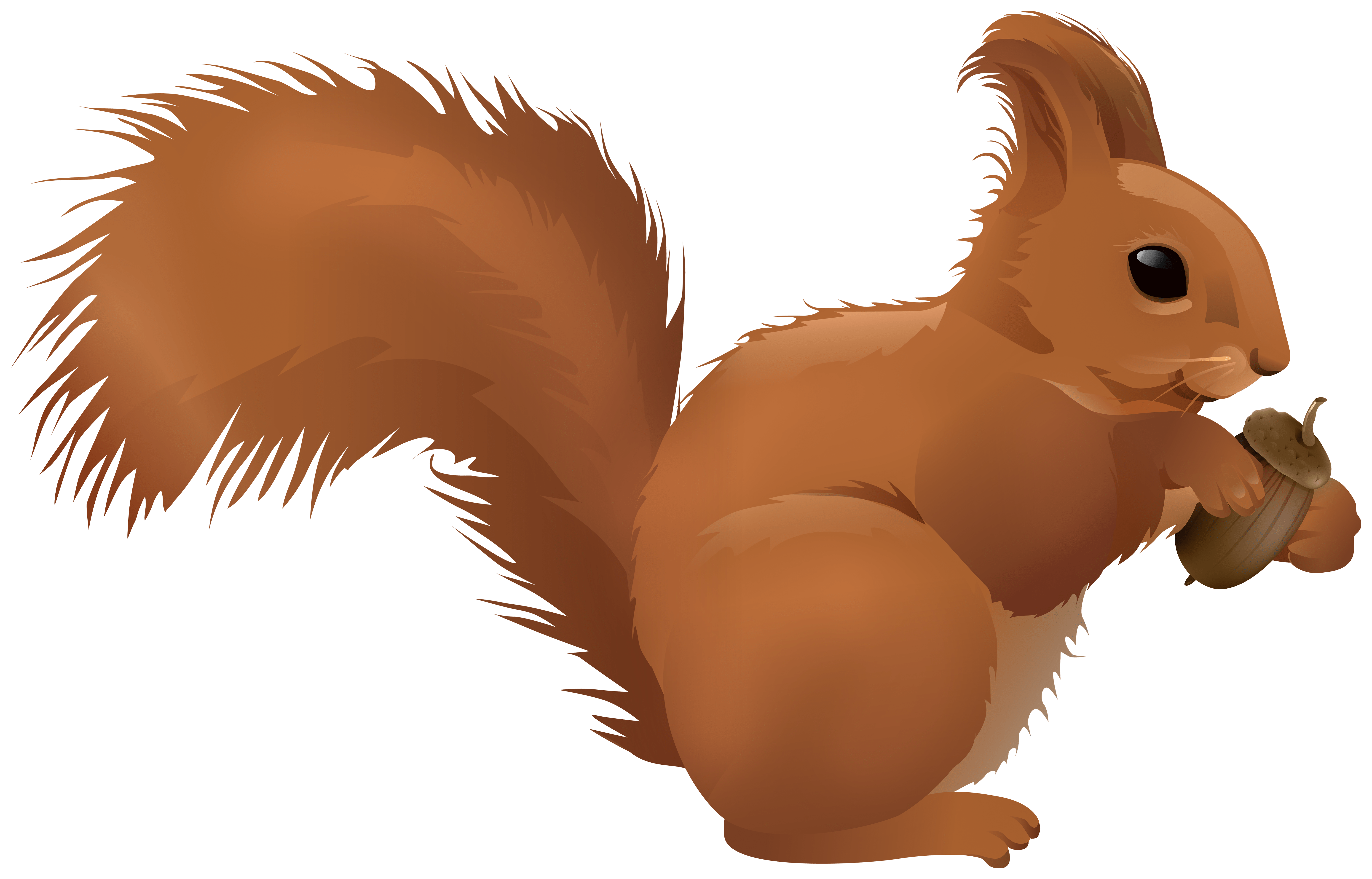 6000x3844 Squirrel Cartoon PNG Clipart Quality Image And Transparent PNG Free Clipart