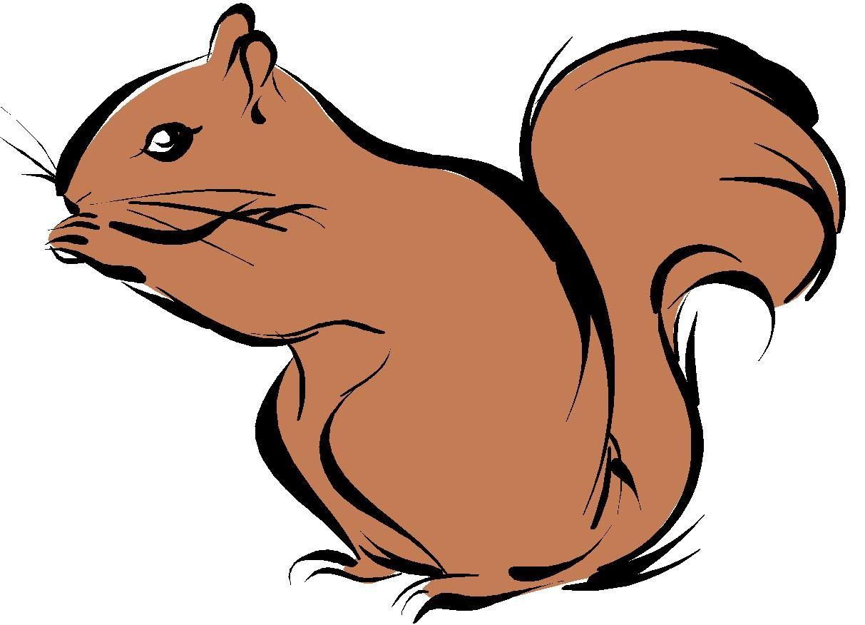 1213x876 Free Squirrel Clipart Picture