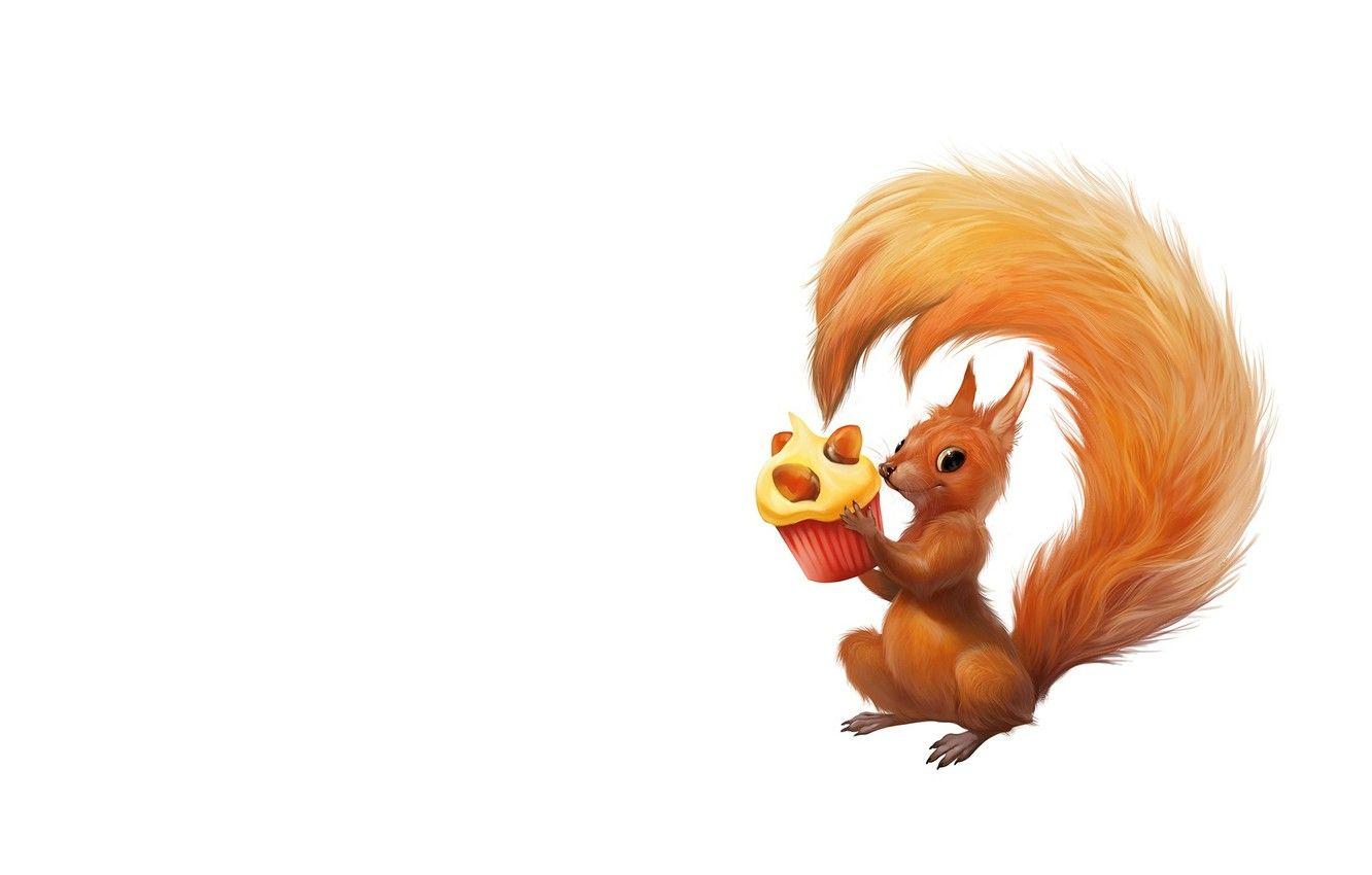 1332x850 Wallpaper holiday, art, cake, squirrel, cupcake, children's, treat image for desktop, section минимализм