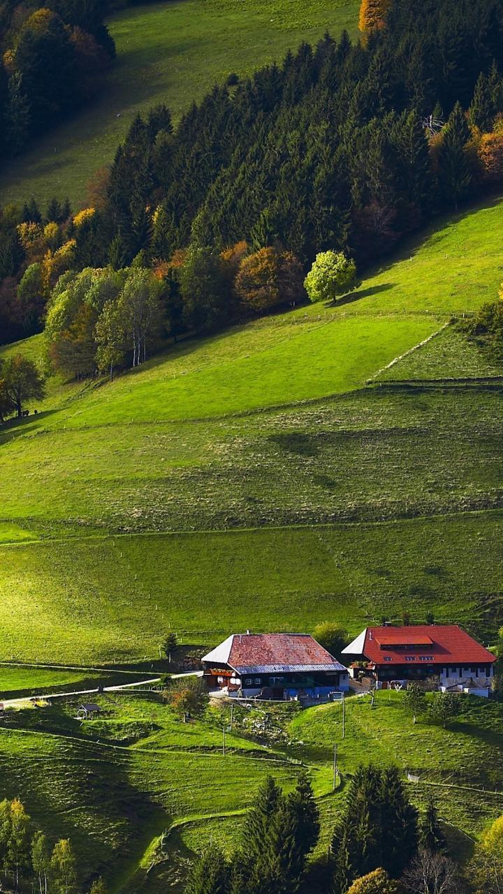 720x1280 Black Forest Germany Wallpaper