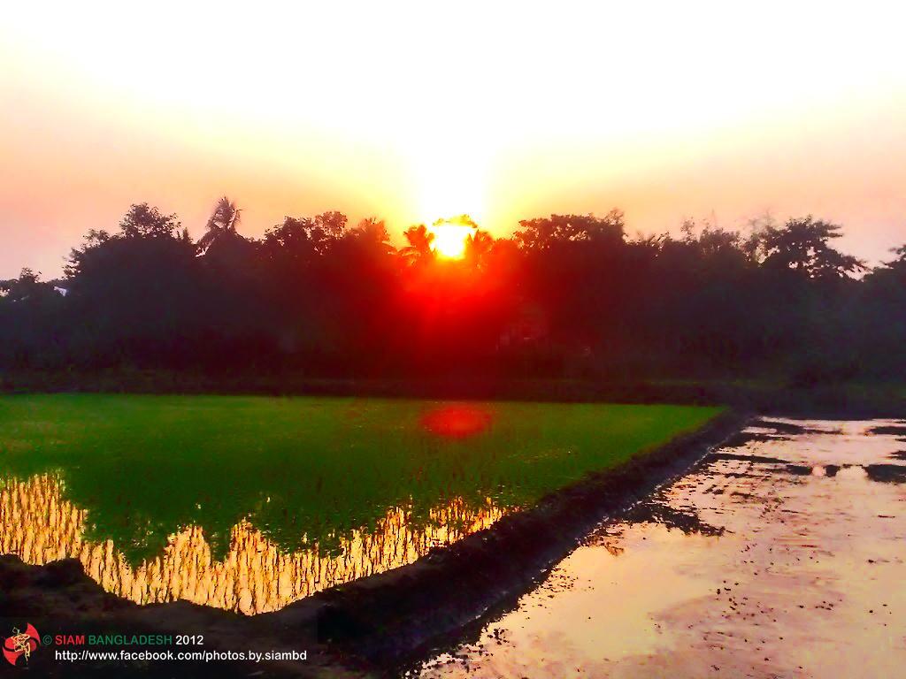 1024x768 Bangladesh Flag (3). Bangladesh flag, Landscape, Nature